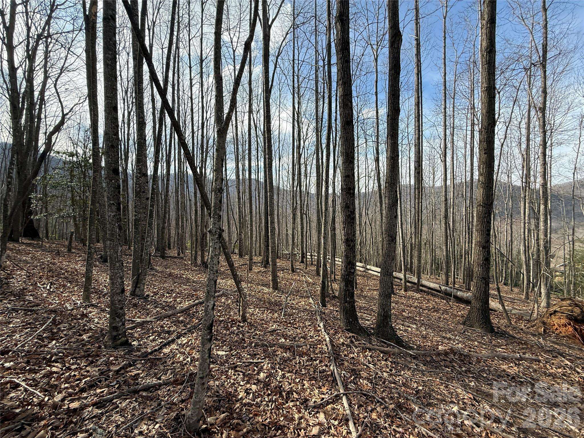 1029 Chippawa DR #67, Arden, NC 28704