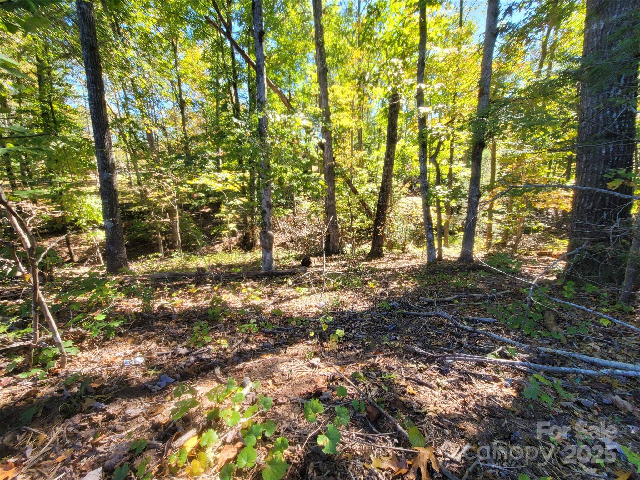 0 Horse Creek DR #14, Mill Spring, NC 28756