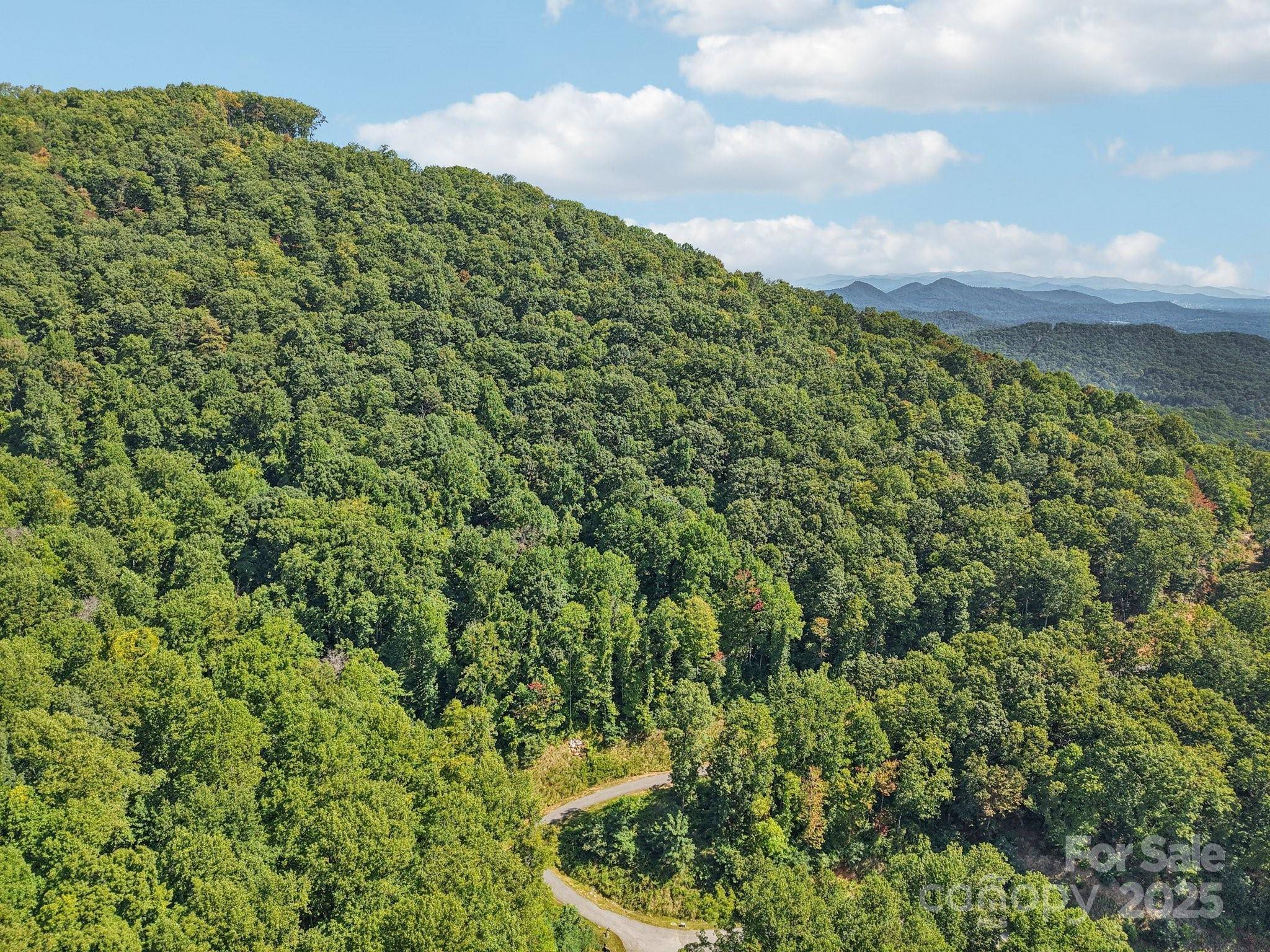 000 Biltmore View DR #10, Candler, NC 28715