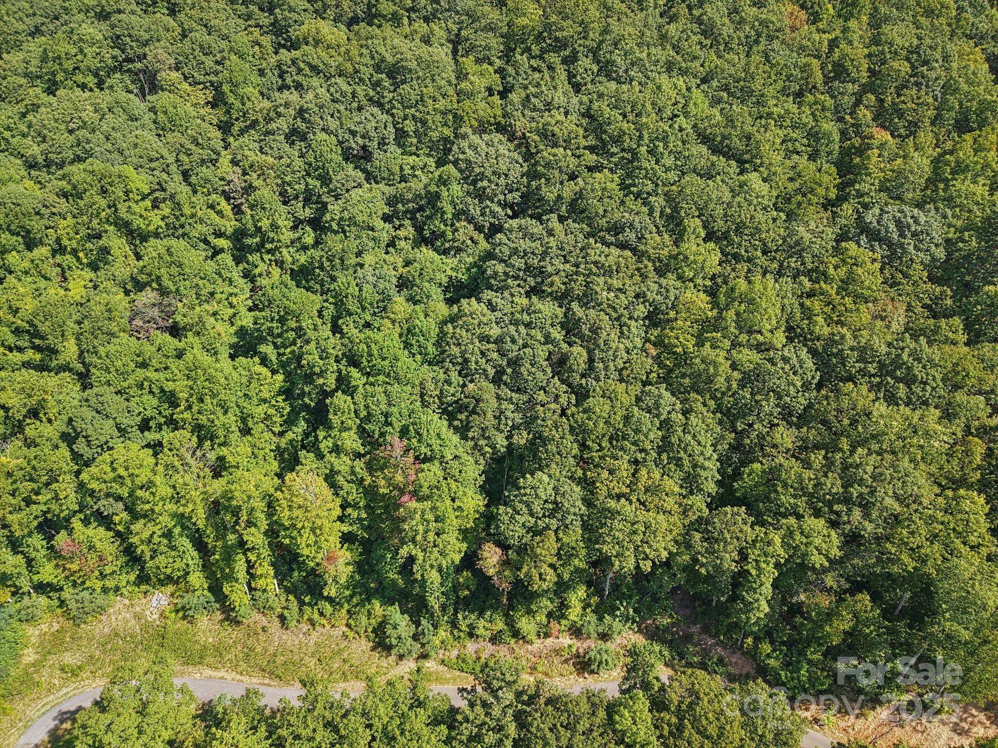000 Biltmore View DR #10, Candler, NC 28715