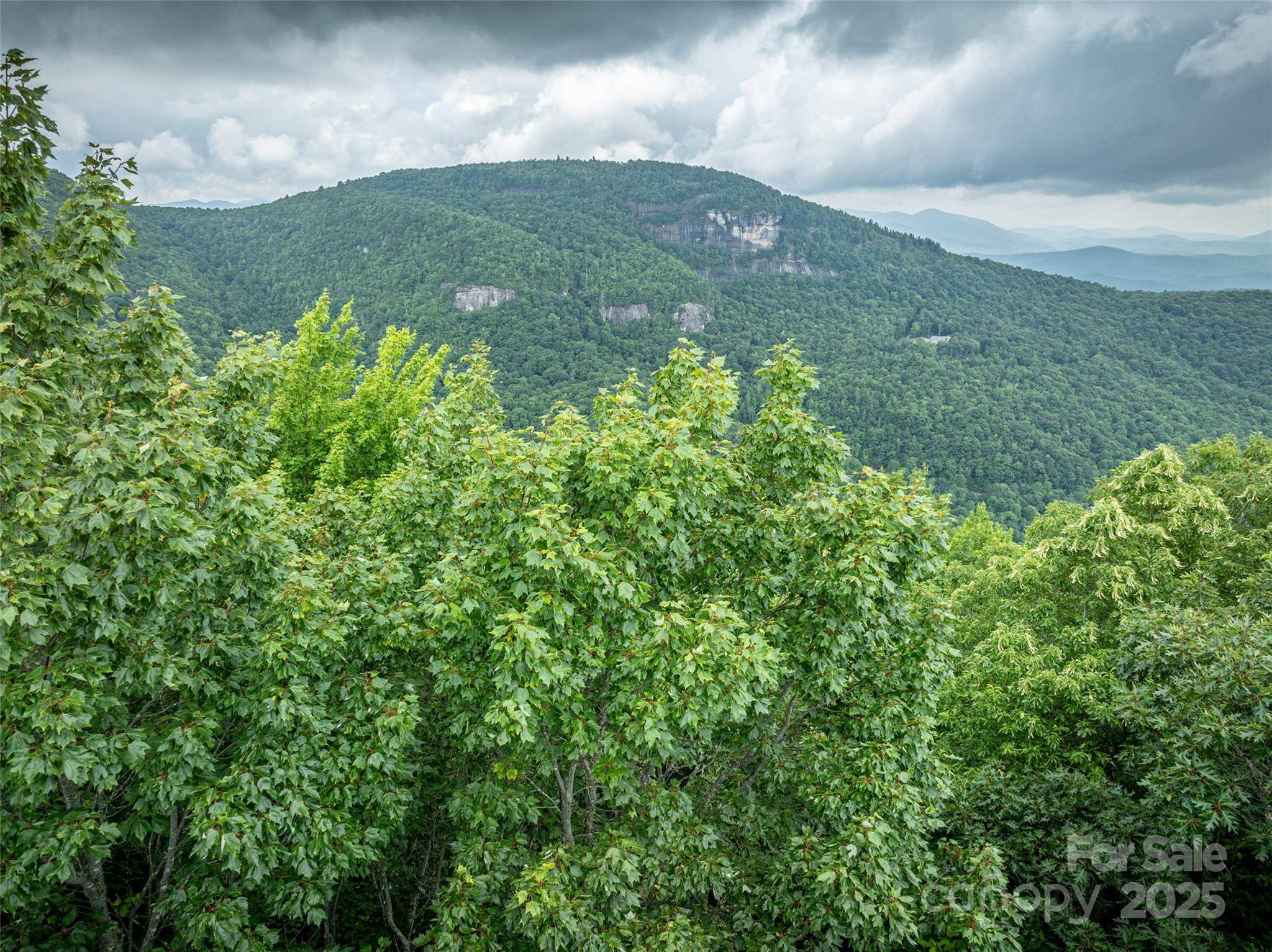 000 Meadow Ridge DR #L9, Lake Toxaway, NC 28747