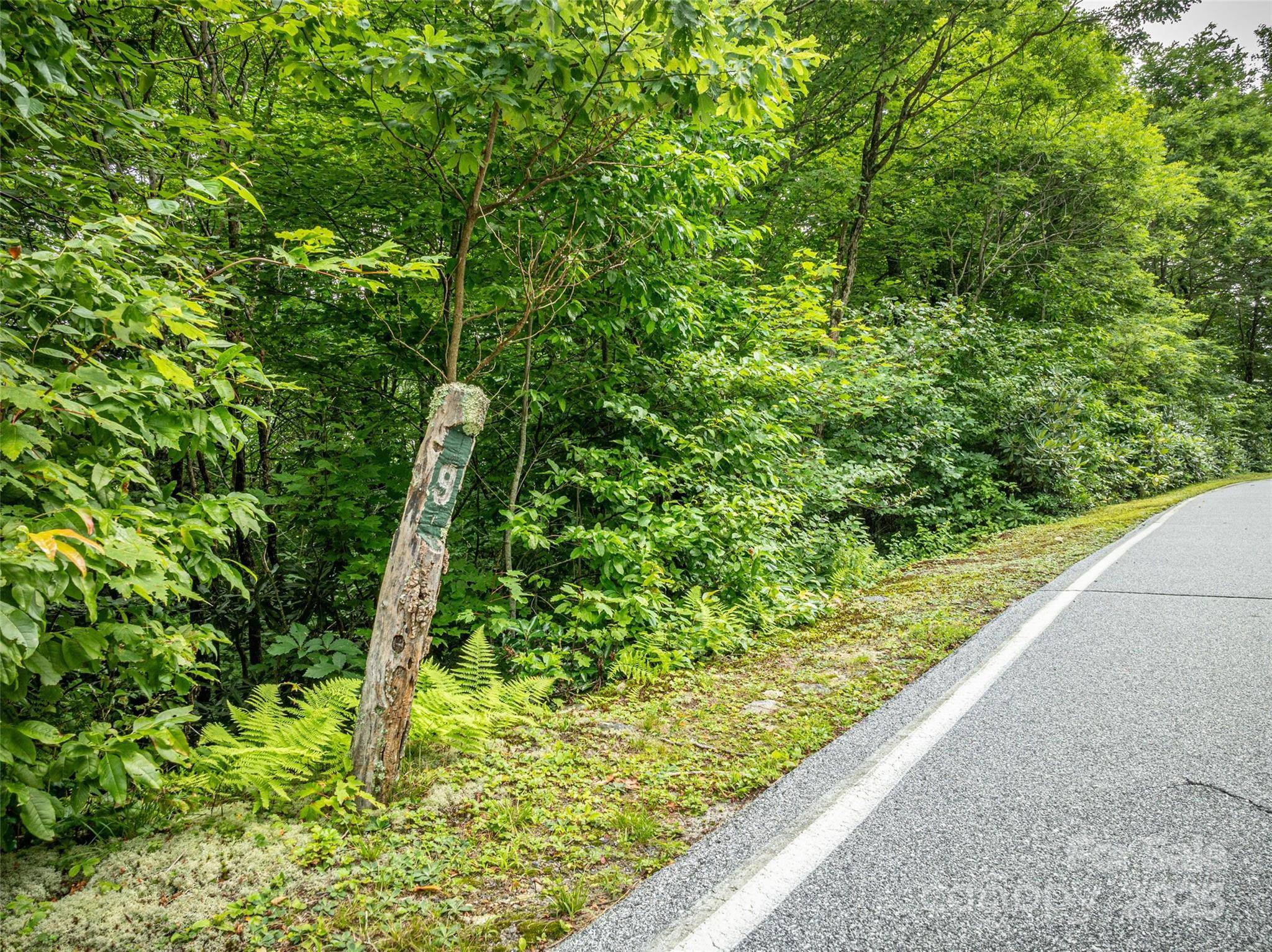 000 Meadow Ridge DR #L9, Lake Toxaway, NC 28747