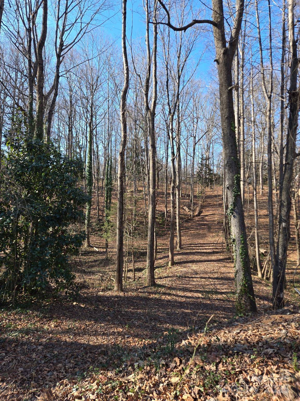 000 Spring Valley LN, Statesville, NC 28677