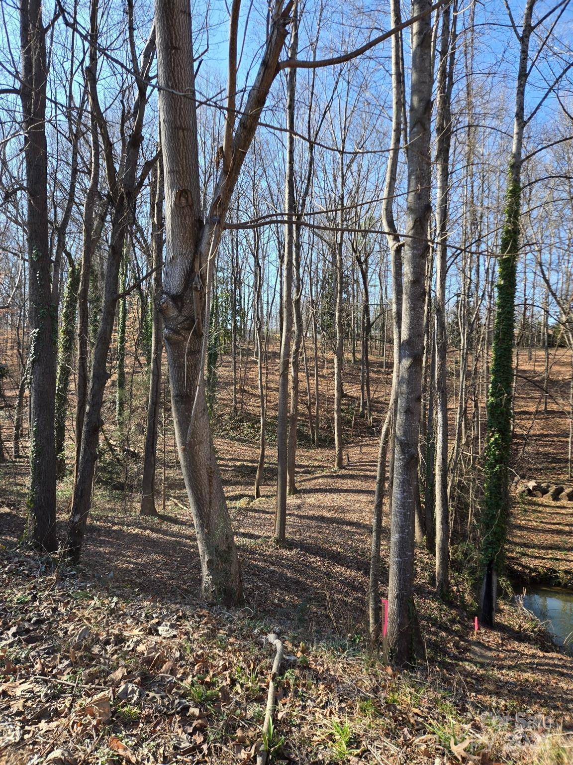 000 Spring Valley LN, Statesville, NC 28677