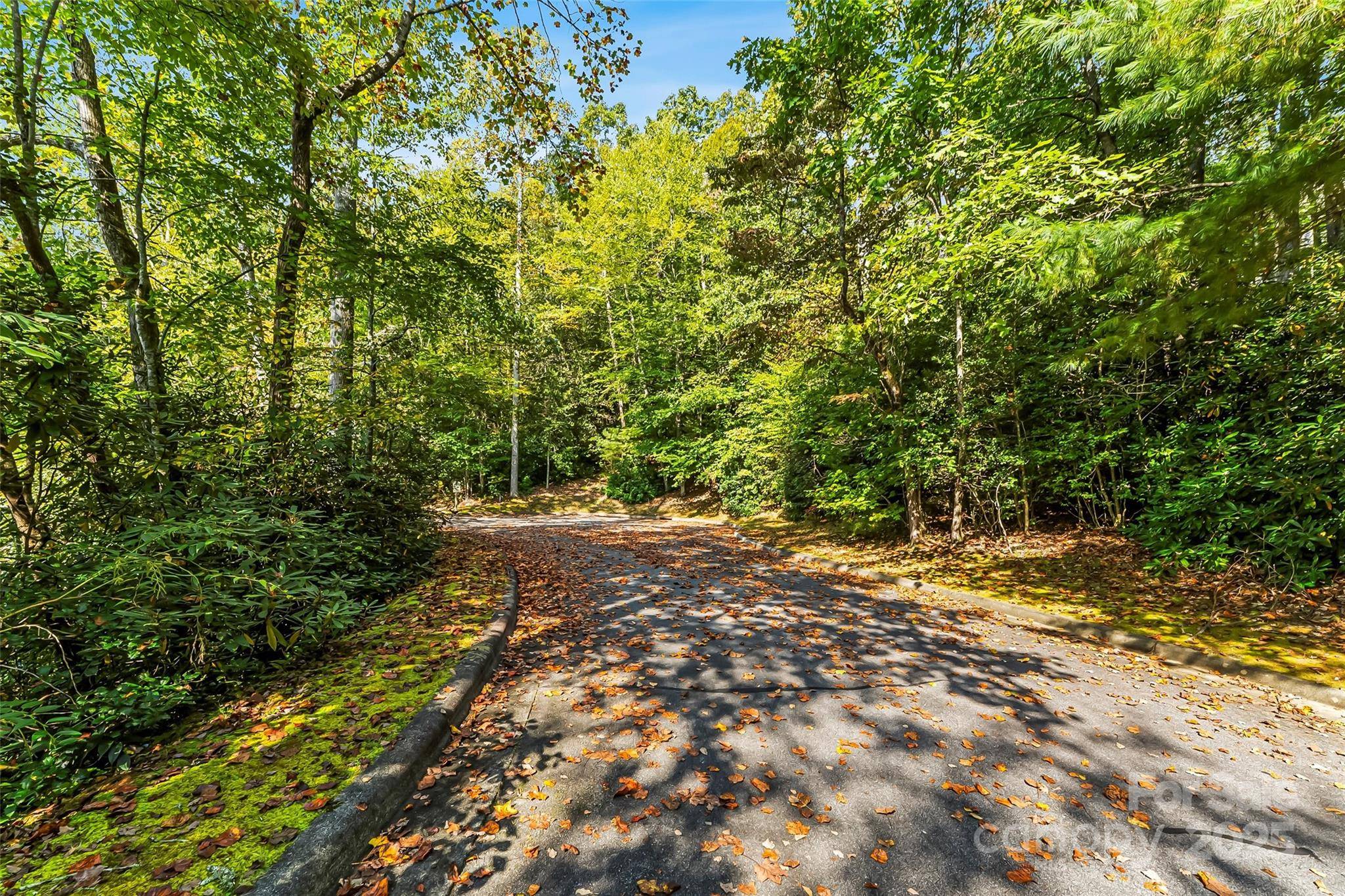 L12R Trailside CT, Brevard, NC 28712