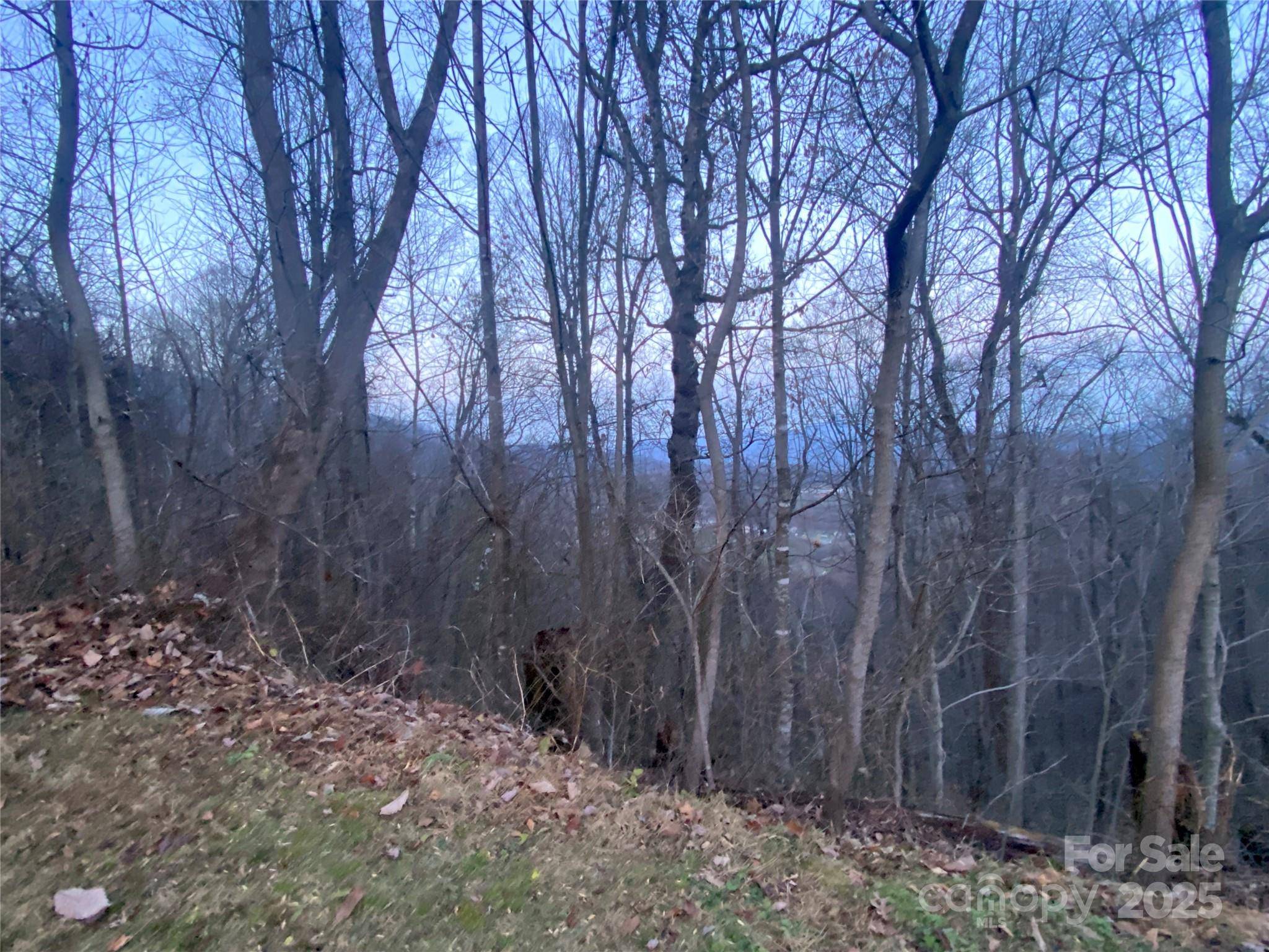 0 Asa TRL, Waynesville, NC 28785