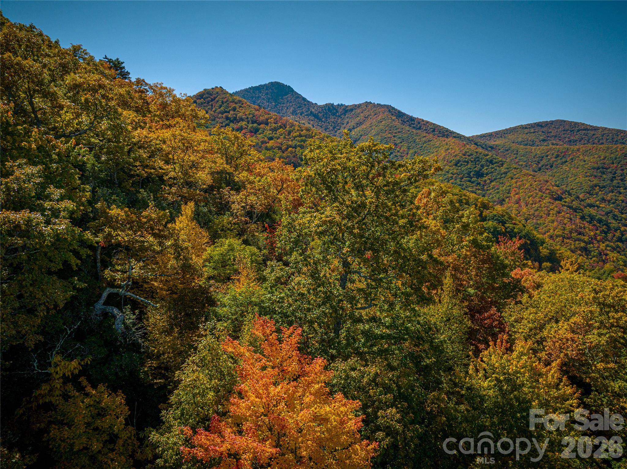 205 Chickadee LN #205, Maggie Valley, NC 28751