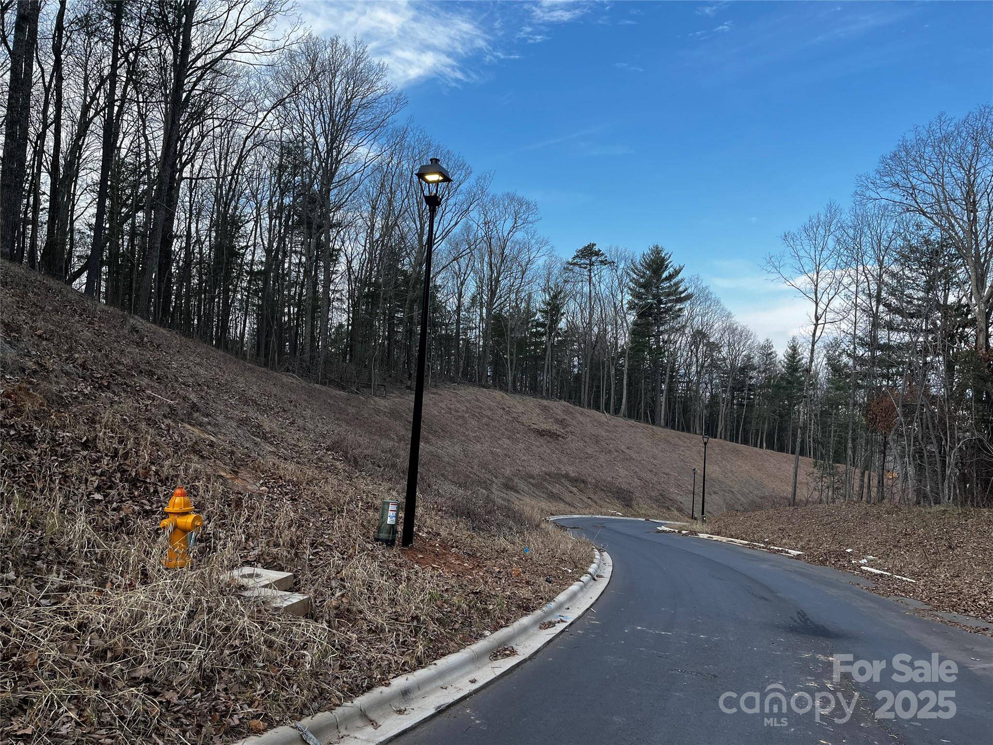 105 Woodland Meadows DR #Tract A & B, Asheville, NC 28803