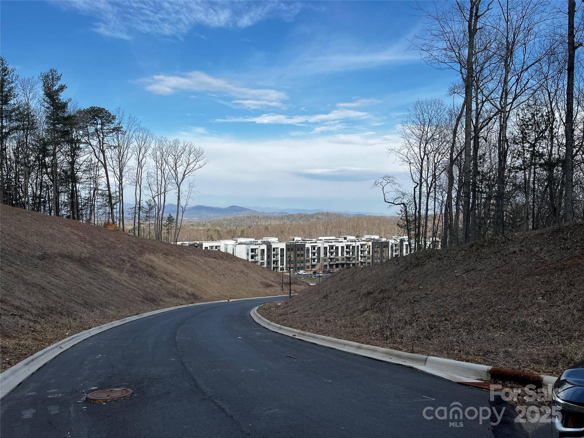 105 Woodland Meadows DR #Tract A & B, Asheville, NC 28803