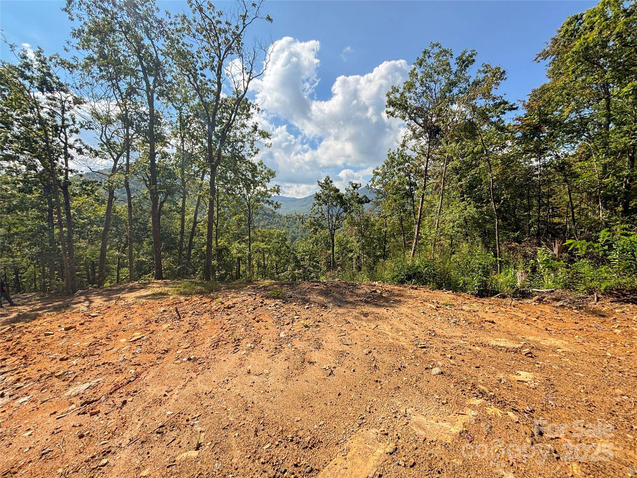 8888 Cedar Creek Farm RD, Tuckasegee, NC 28783