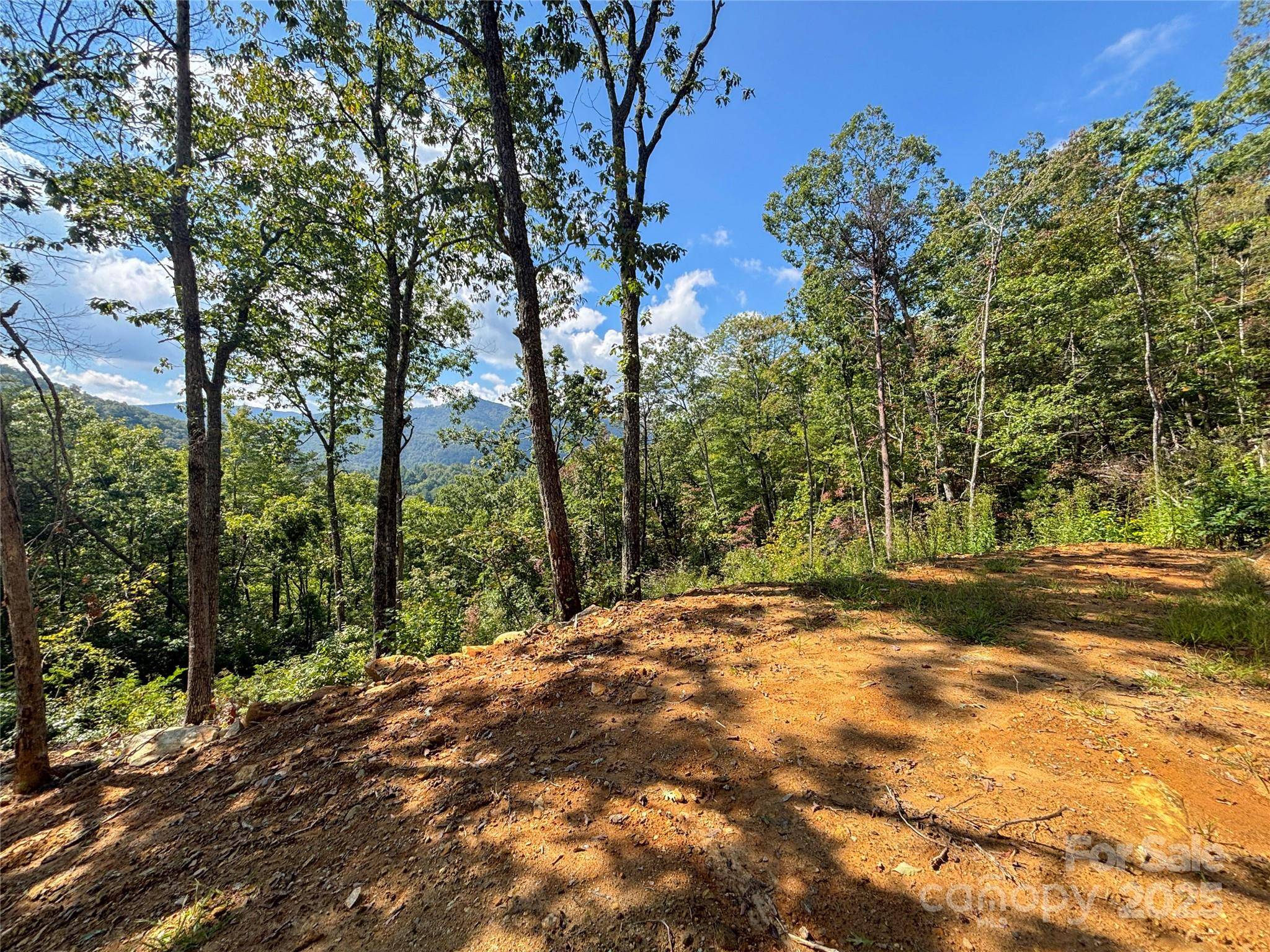 8888 Cedar Creek Farm RD, Tuckasegee, NC 28783