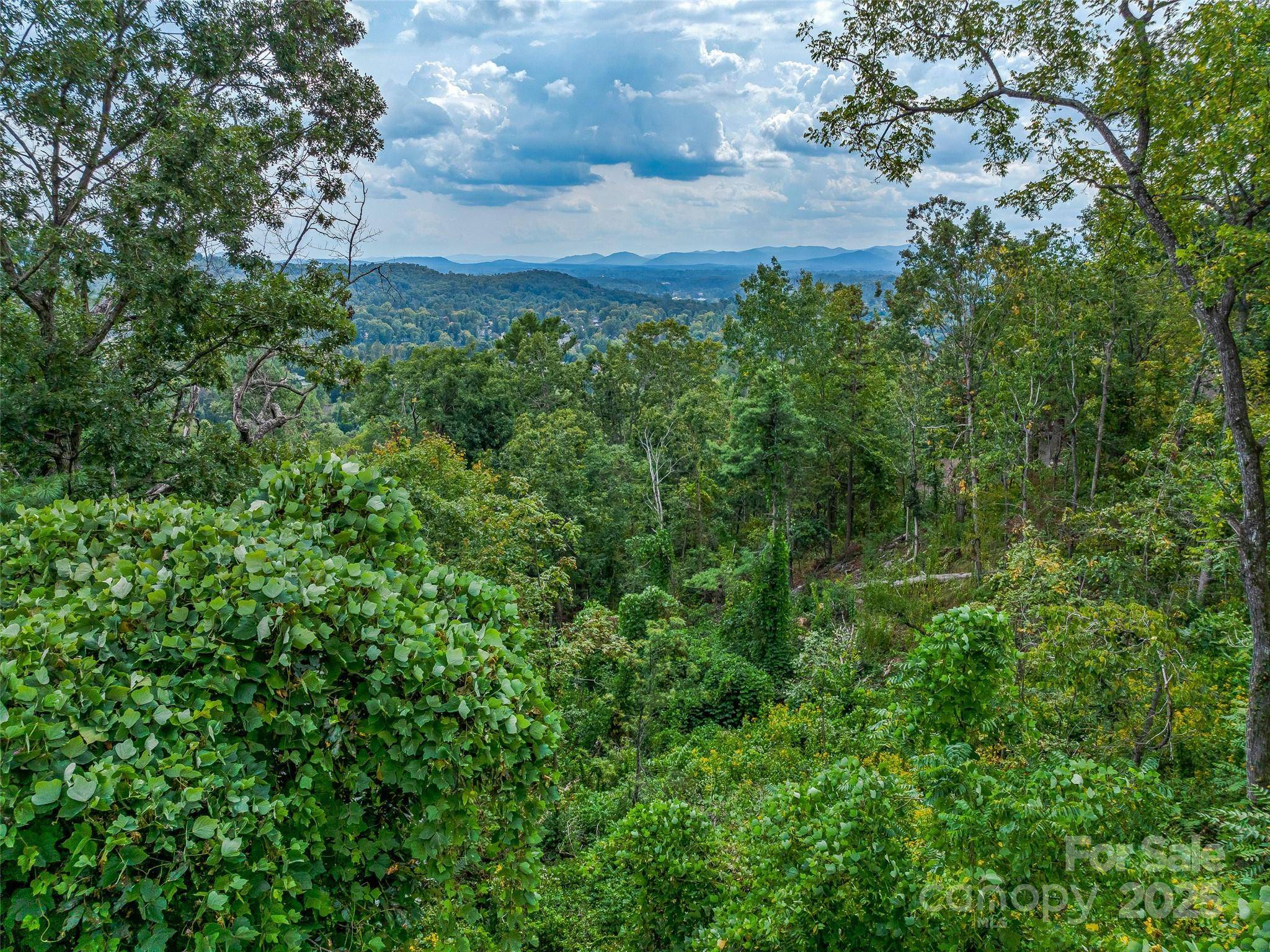 147 Senator Reynolds RD, Asheville, NC 28804