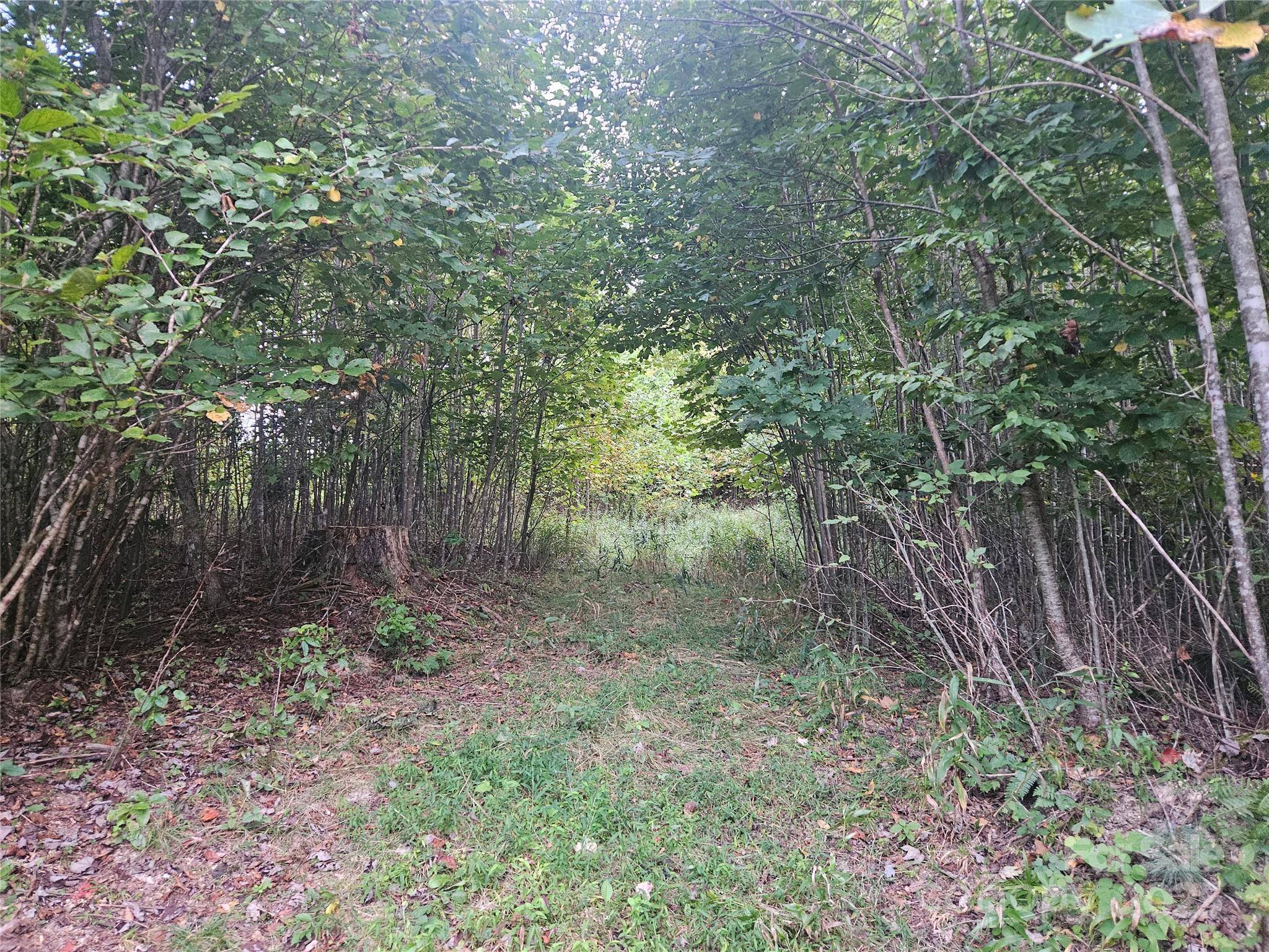 000 Double Island RD, Green Mountain, NC 28740