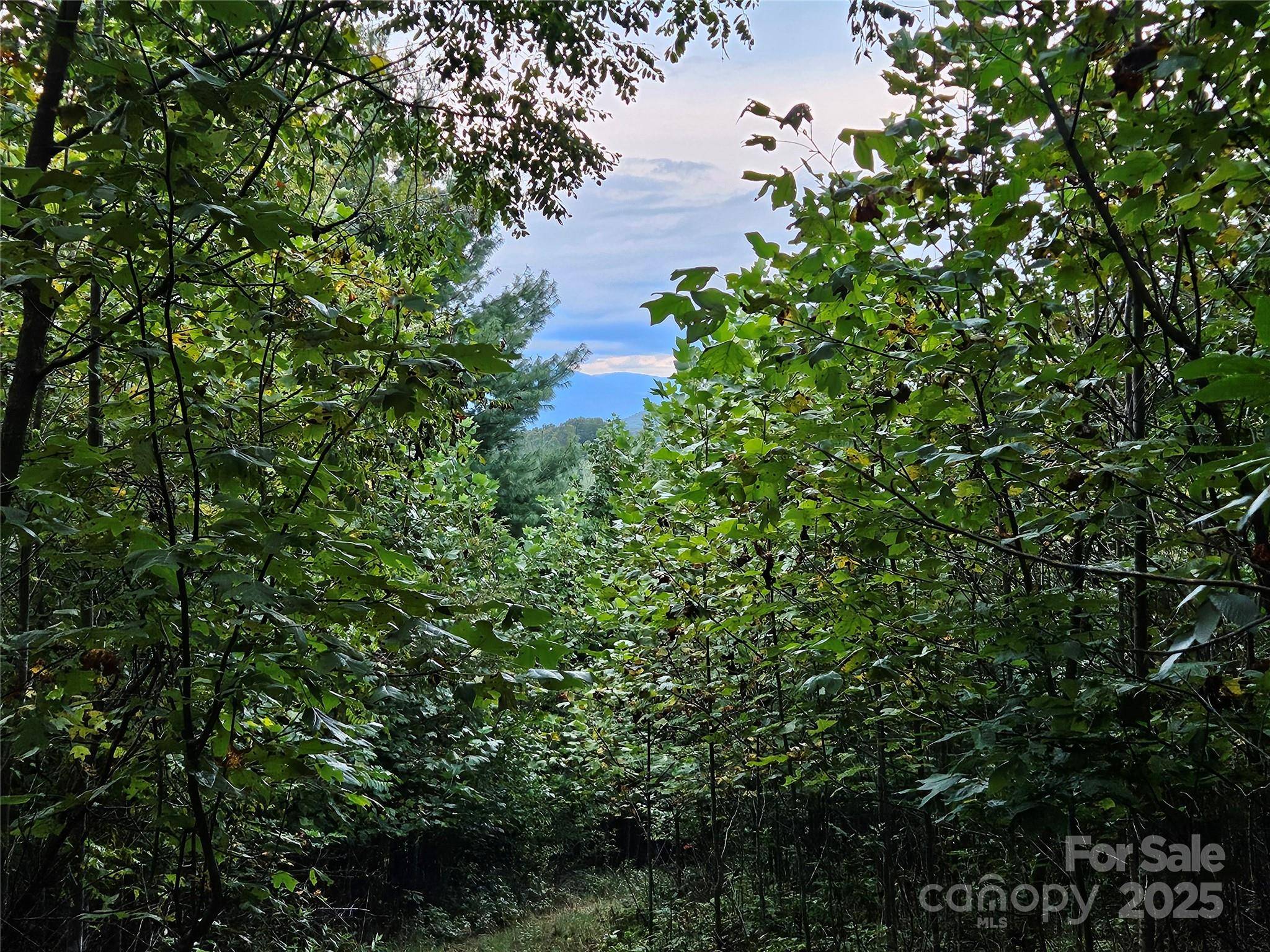 000 Double Island RD, Green Mountain, NC 28740