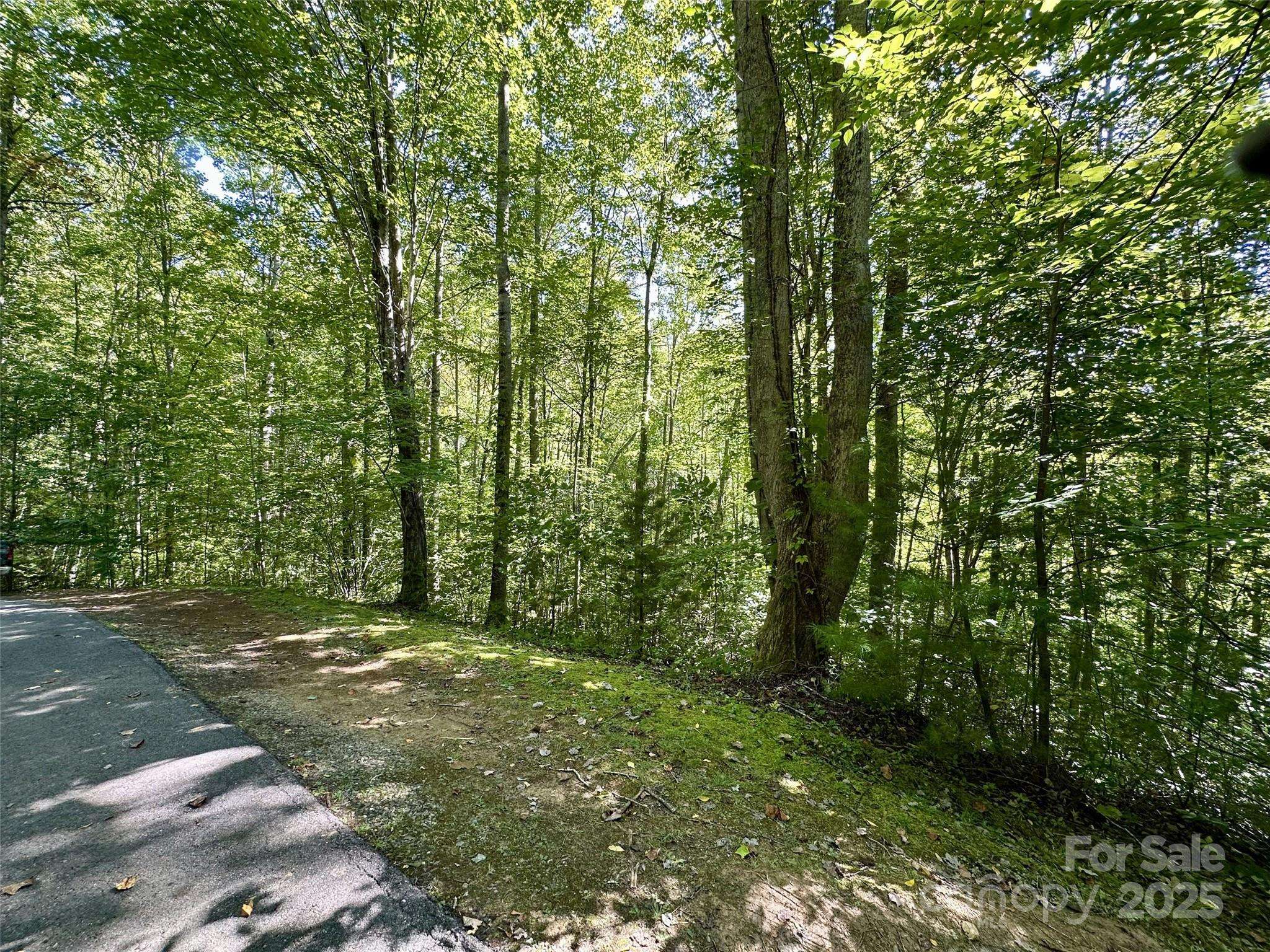 00 Loblolly WAY #C11, Maggie Valley, NC 28751