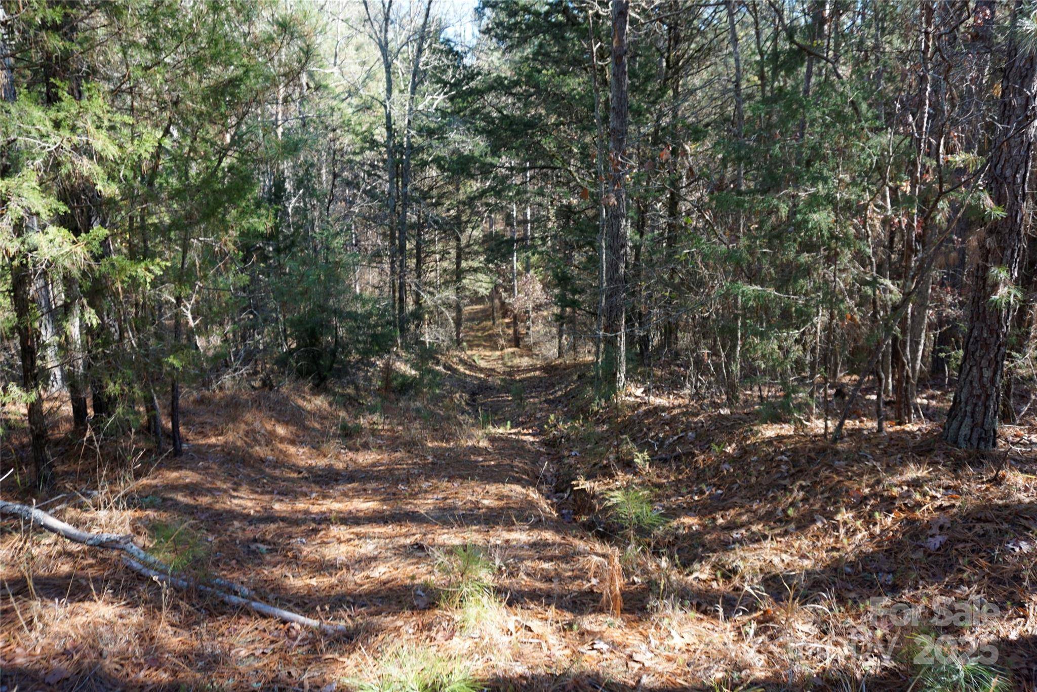 6+/- AC LOT 2 Skyline DR, Chester, SC 29706