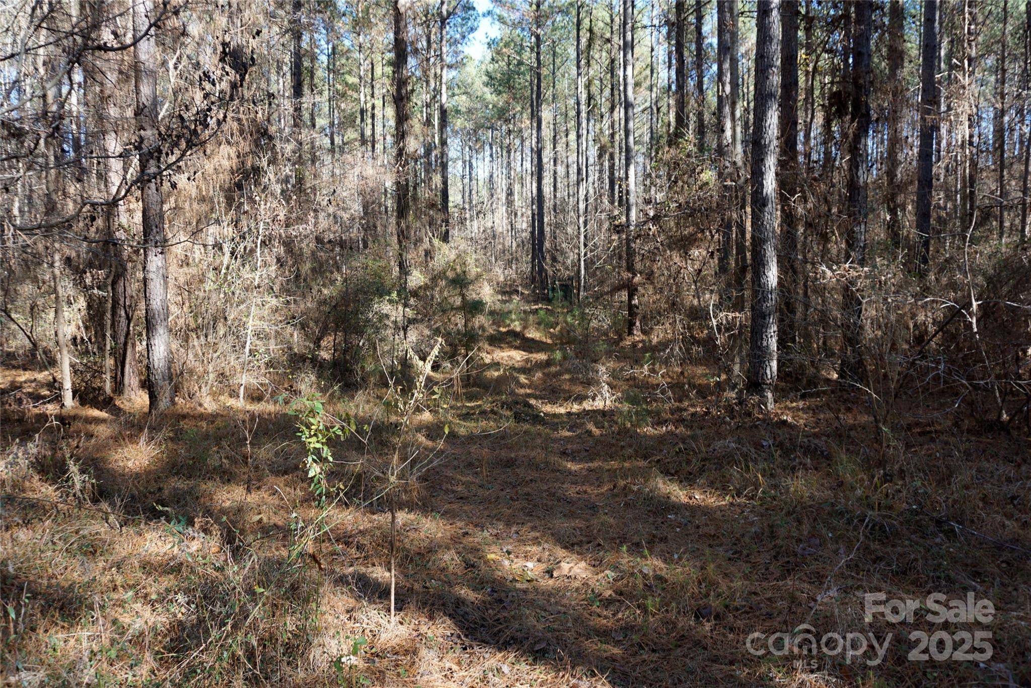 6+/- AC LOT 2 Skyline DR, Chester, SC 29706