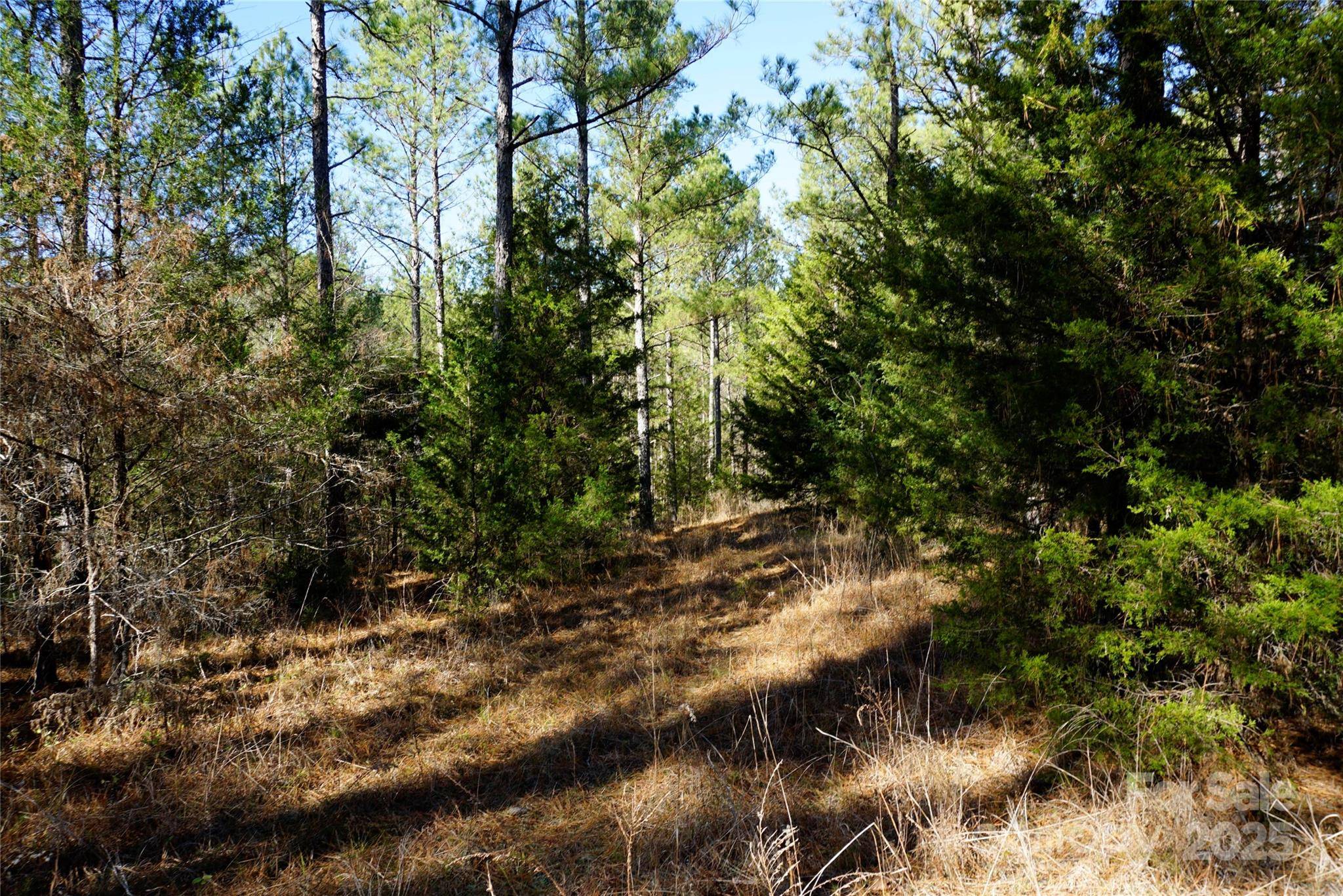 6+/- AC LOT 2 Skyline DR, Chester, SC 29706