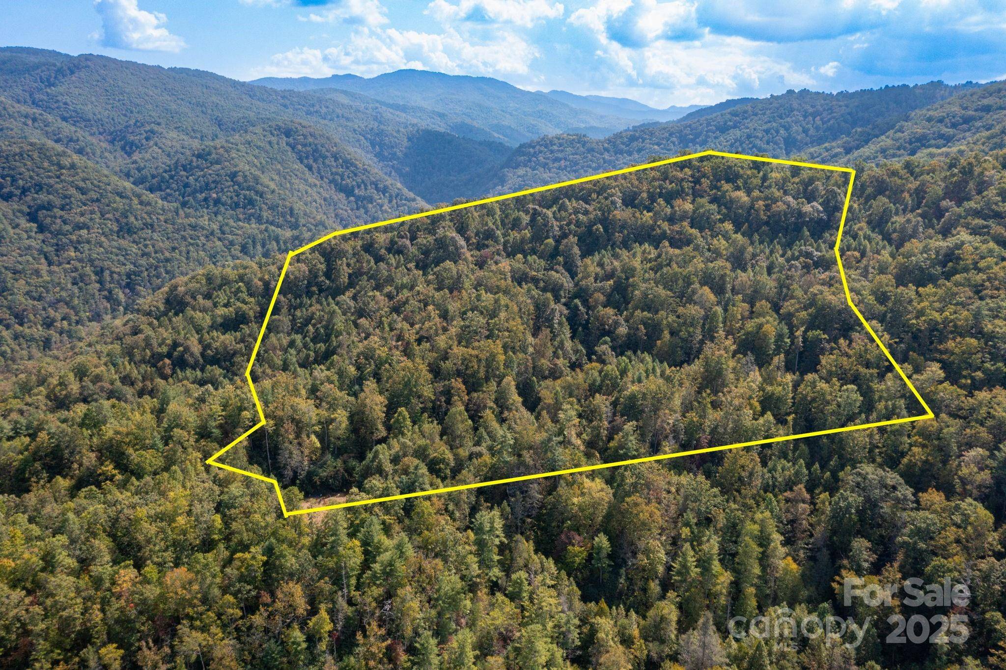 999 NC 209 HWY #9, Hot Springs, NC 28743
