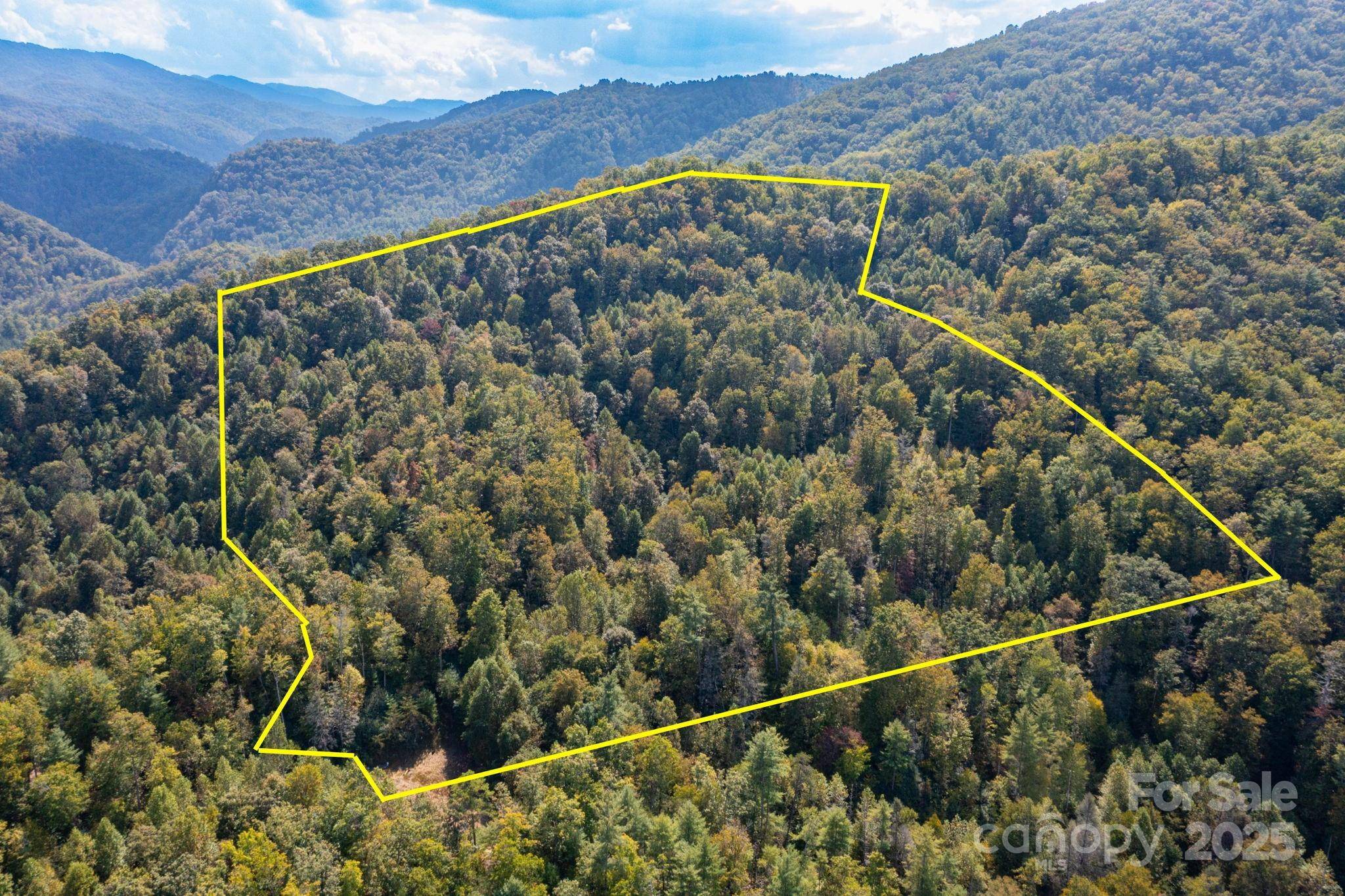 999 NC 209 HWY #9, Hot Springs, NC 28743