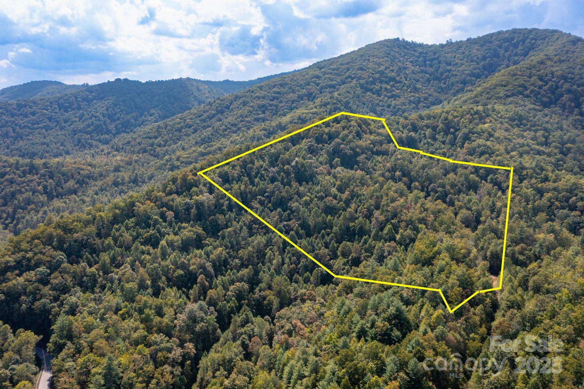 999 NC 209 HWY #9, Hot Springs, NC 28743