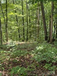 22 Signature Row BLVD, Waynesville, NC 28785