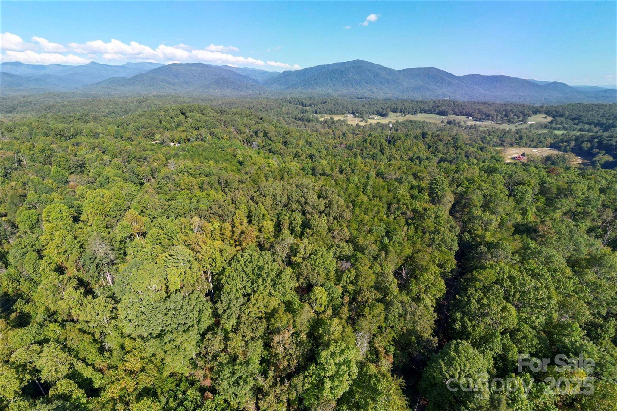 719 & 899 Mchone DR, Old Fort, NC 28762