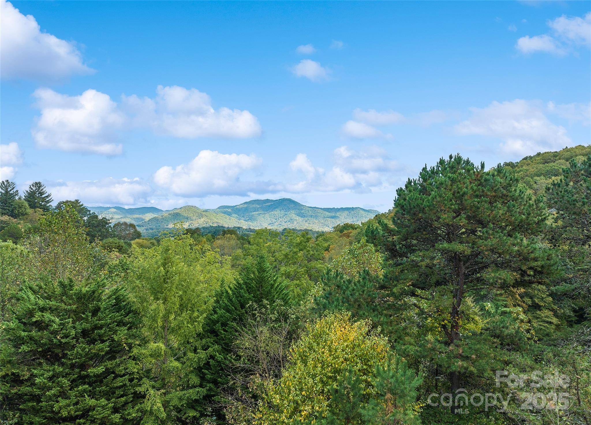 966 Coyote Hollow RD, Waynesville, NC 28785