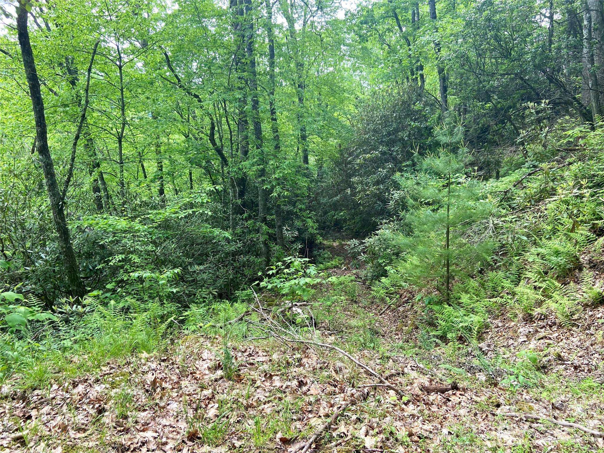 Lot 10 Mystic Forest WAY, Bryson City, NC 28713