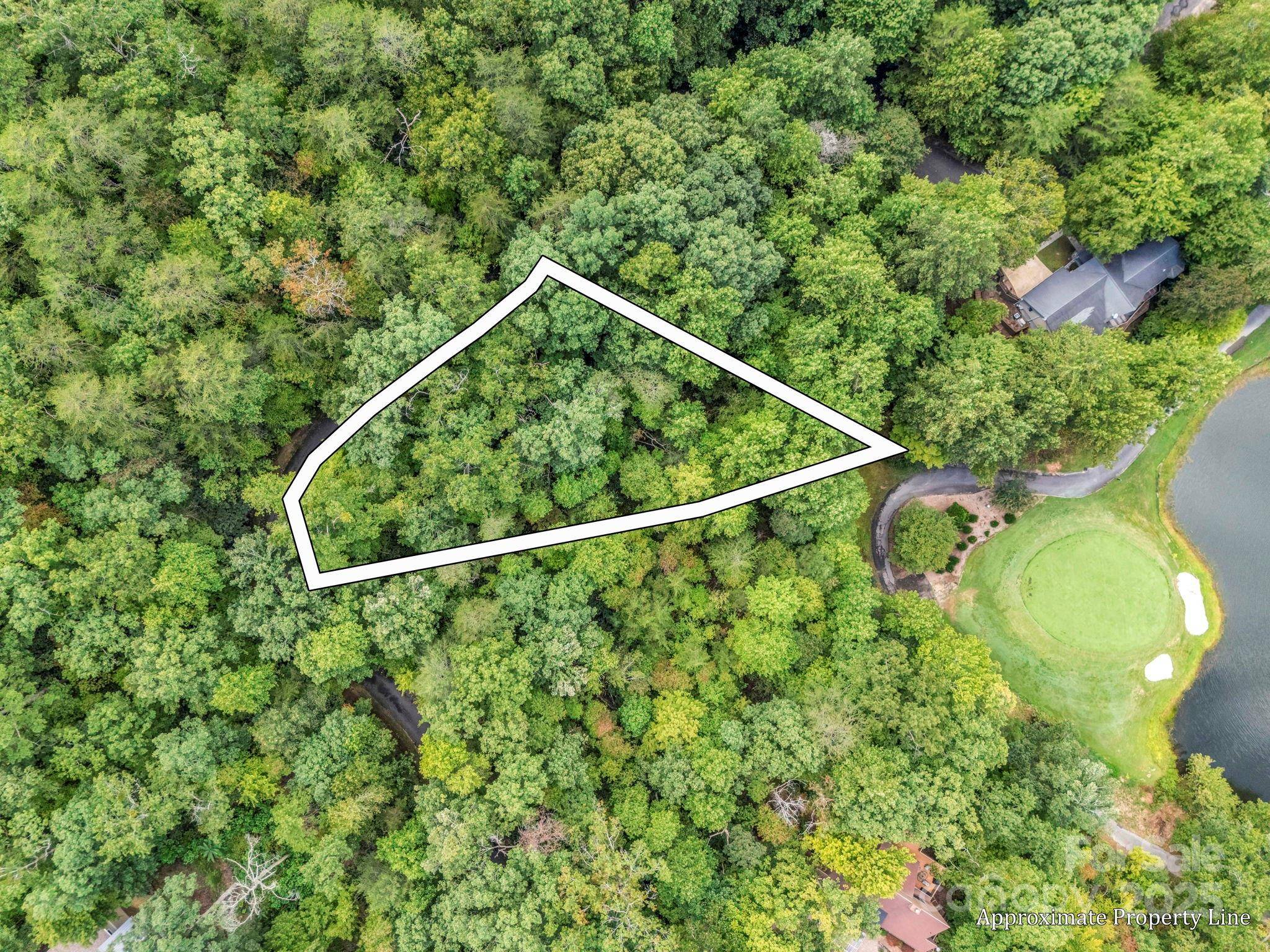 36 Bee Tree Point CT, Lake Lure, NC 28746