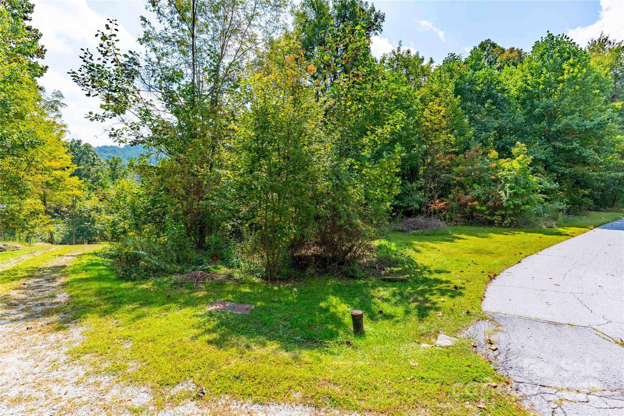 1043 Somersby Pkwy, Hendersonville, NC 28739
