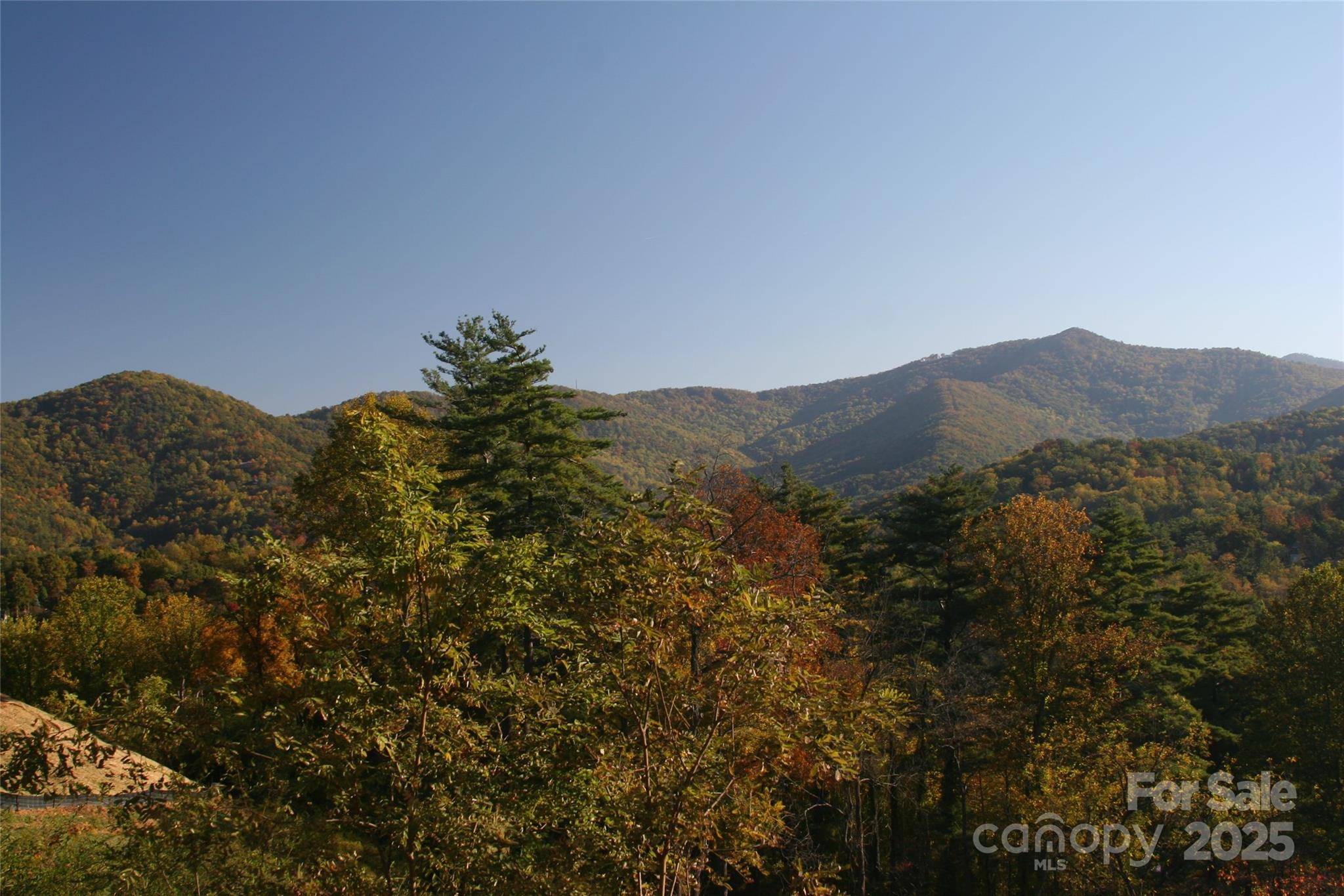 68 Wolfebridge LN #16, Asheville, NC 28804