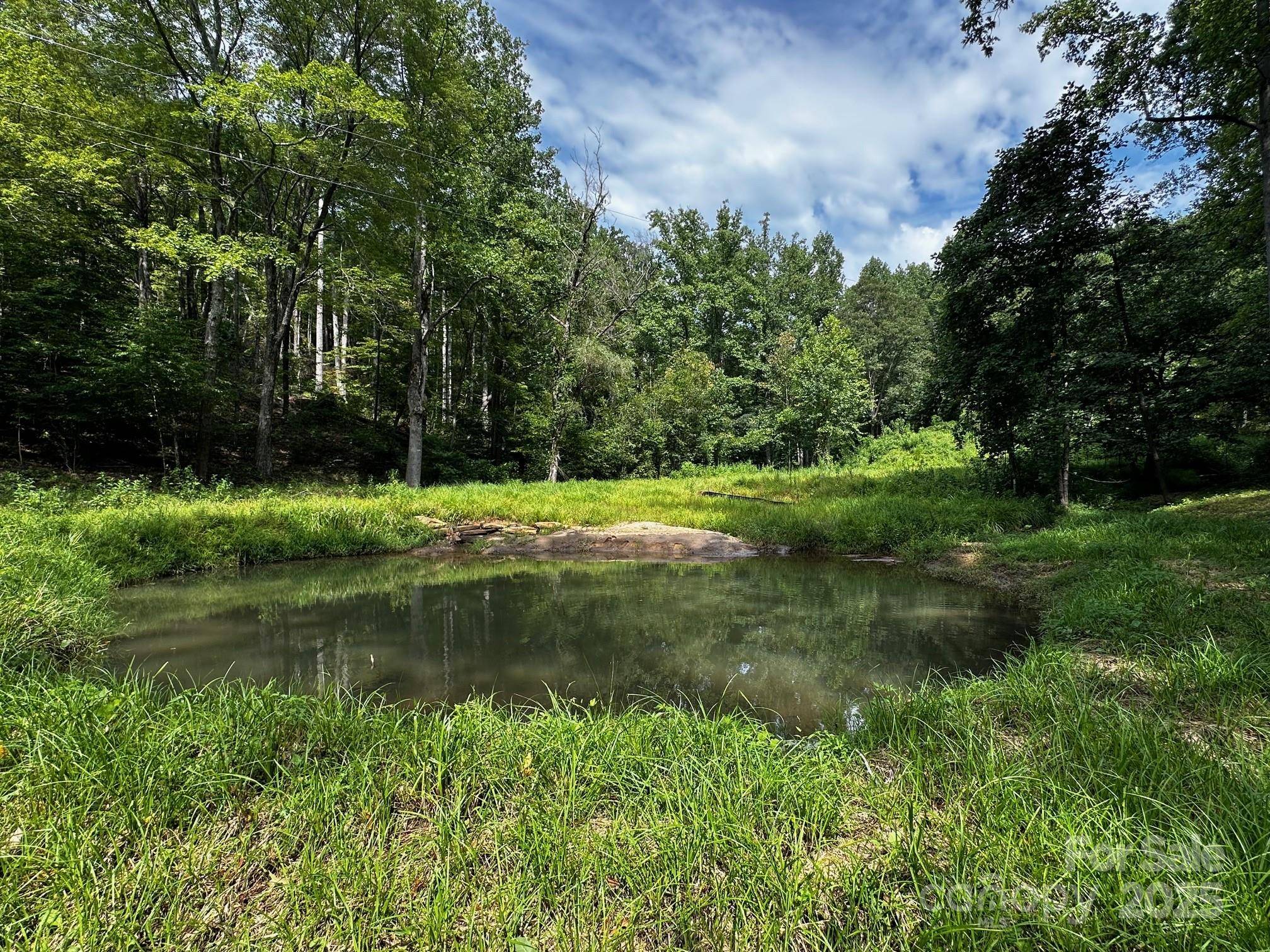 9999 Rock Ledge DR, Lake Lure, NC 28746