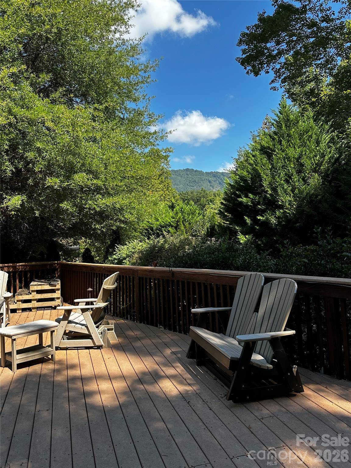 133 Cornell CIR, Lake Lure, NC 28746