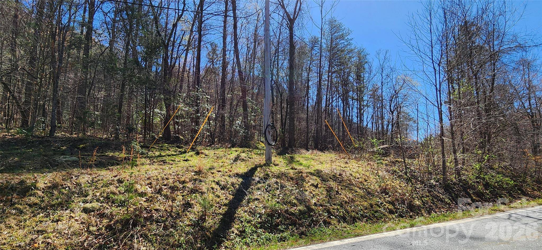 0 Buffalo Creek RD #74, Lake Lure, NC 28746