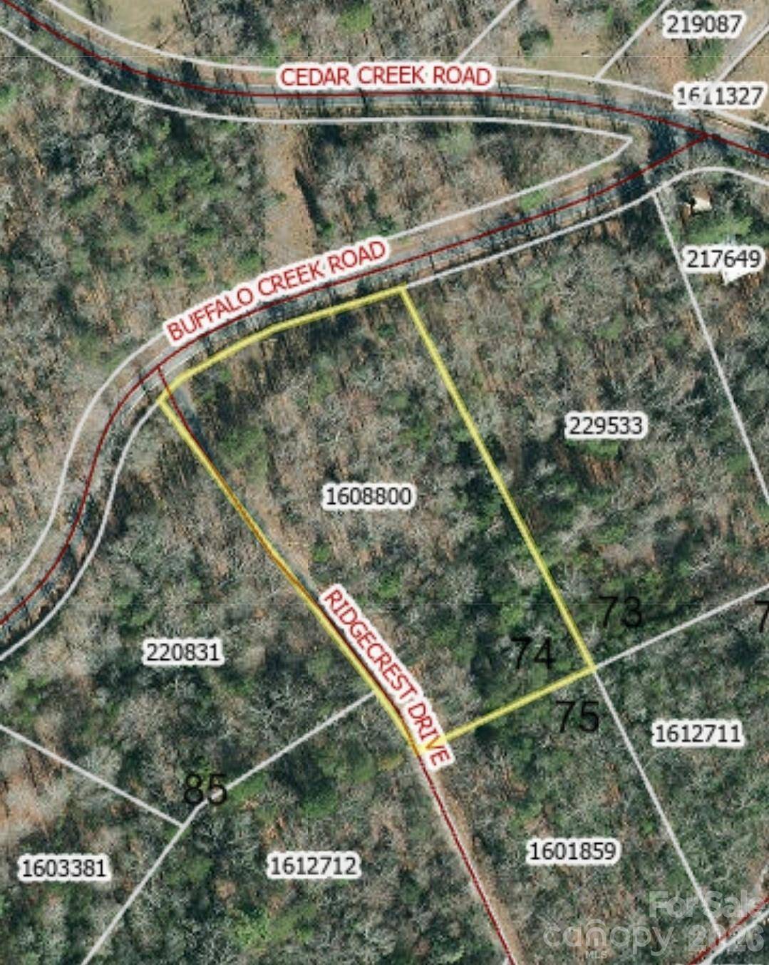 0 Buffalo Creek RD #74, Lake Lure, NC 28746