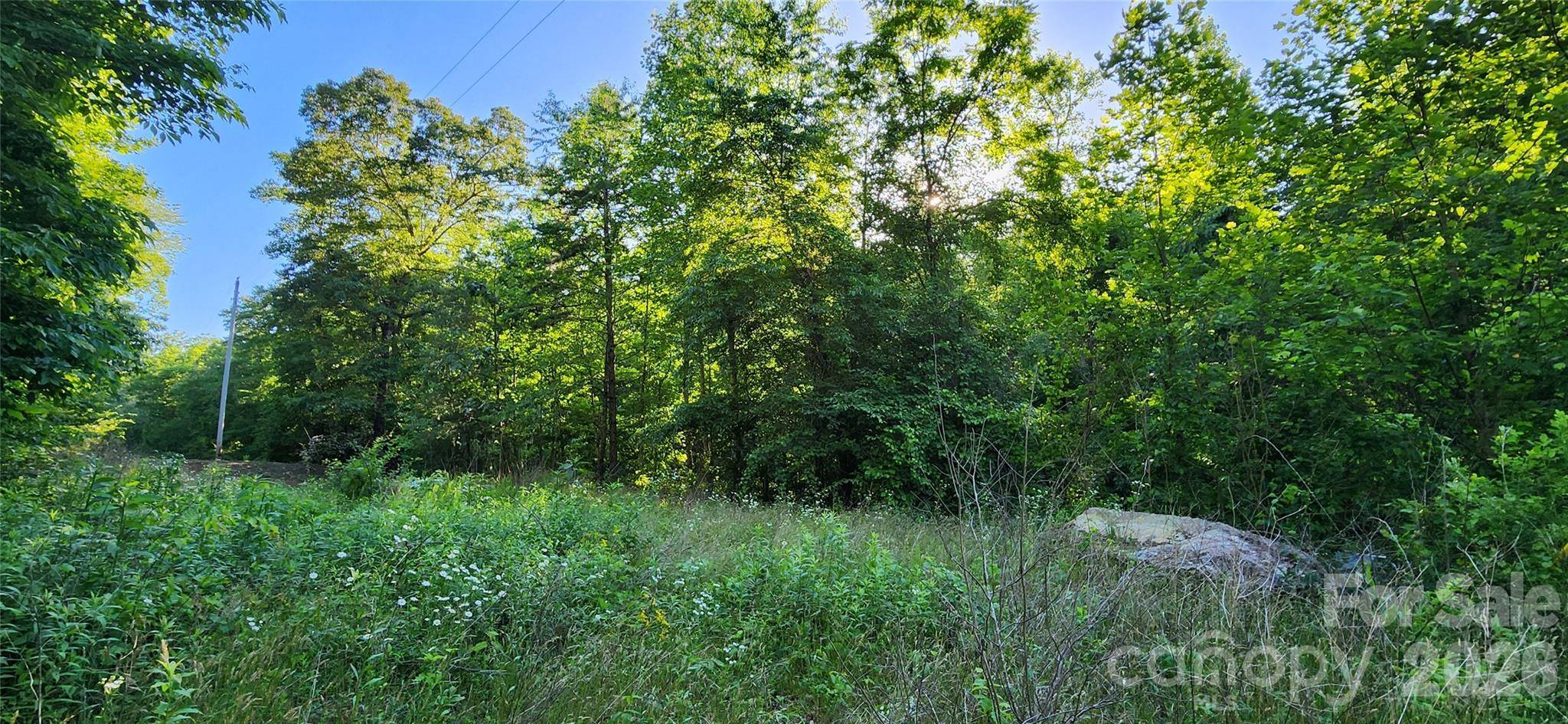 0 Buffalo Creek RD #74, Lake Lure, NC 28746