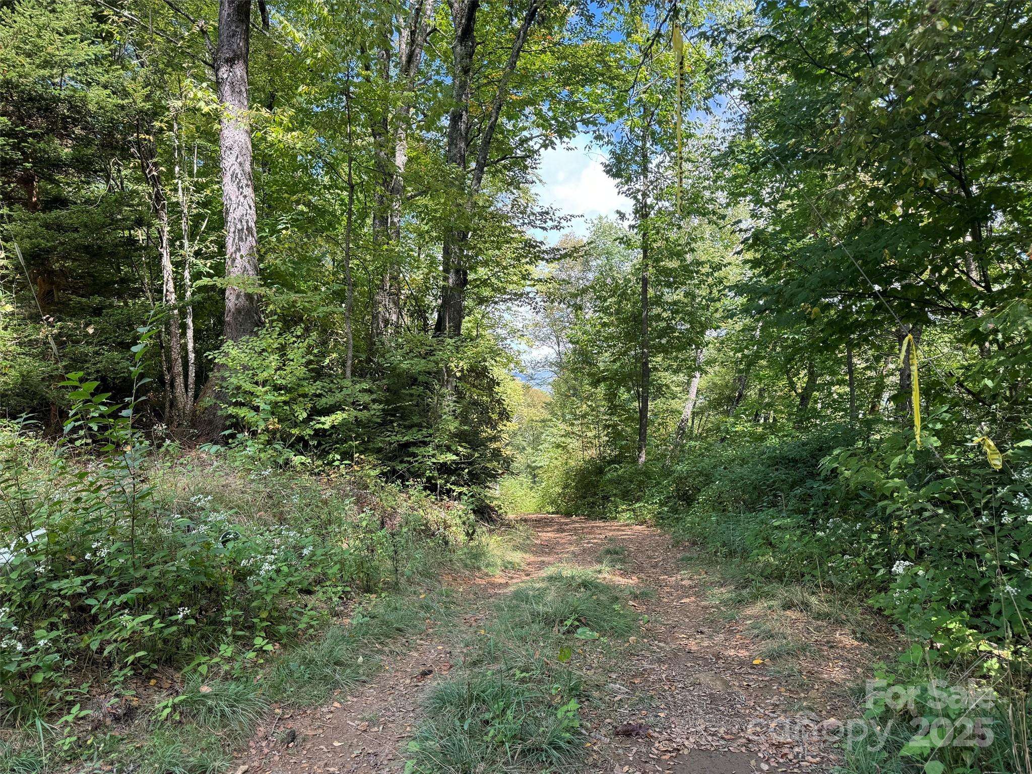 2 Black Rock RD, Cherokee, NC 28779