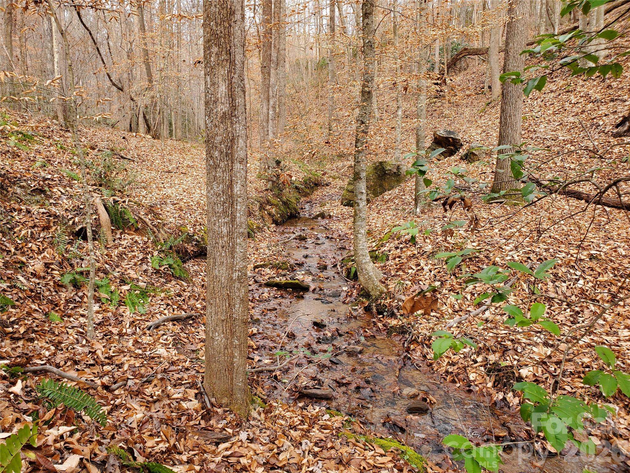 366 Boland DR, Lake Lure, NC 28746