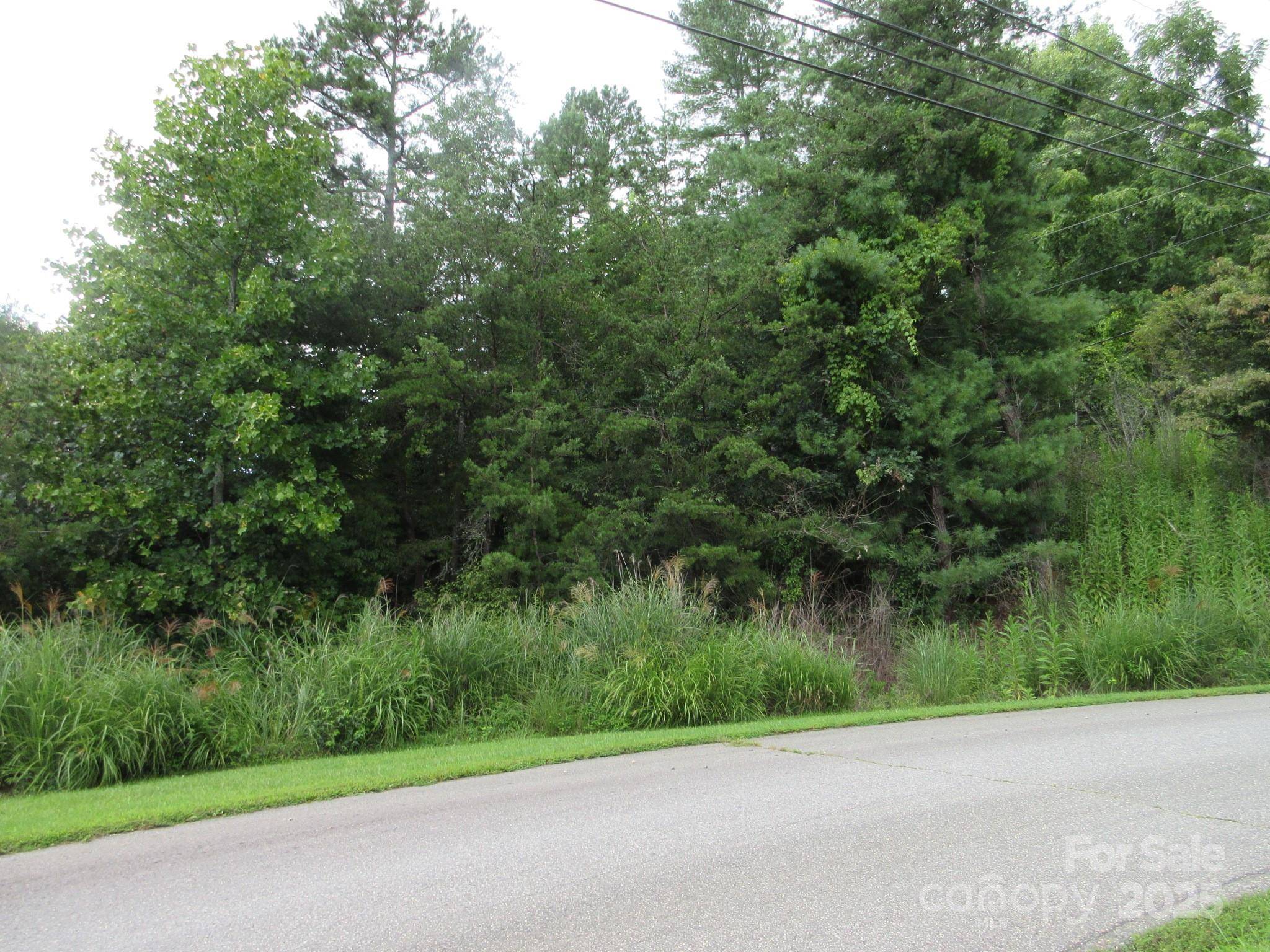 0 Old Burnsville RD, Weaverville, NC 28787