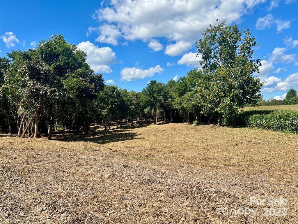 2095 Hatties WAY #3, Hamptonville, NC 27020