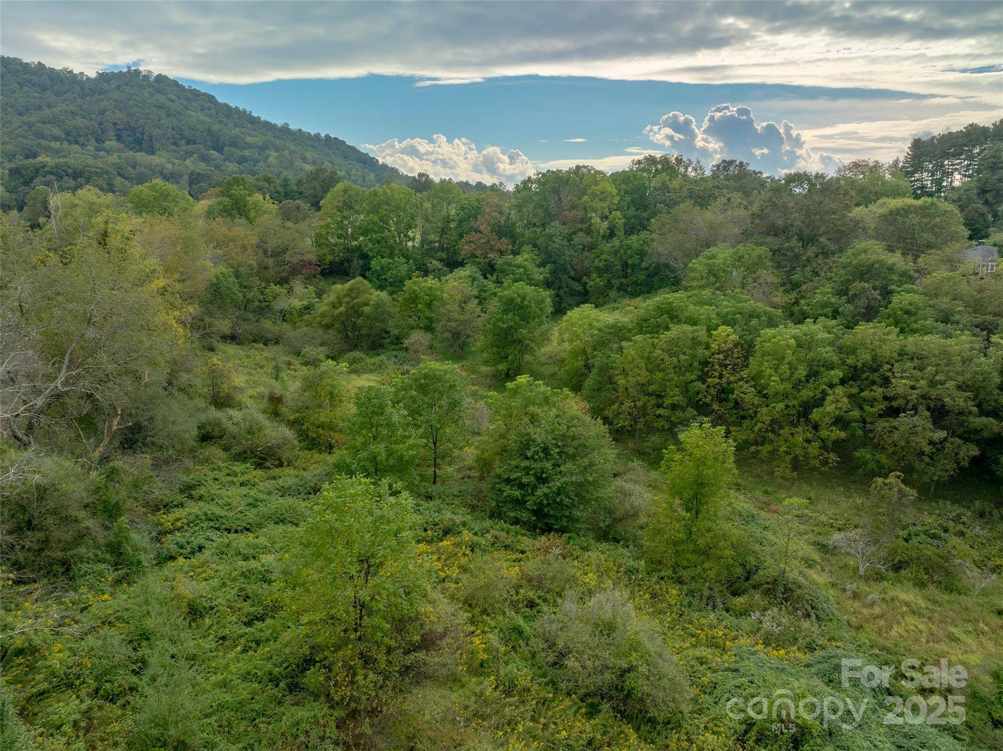 99999 Old Clyde RD, Canton, NC 28716