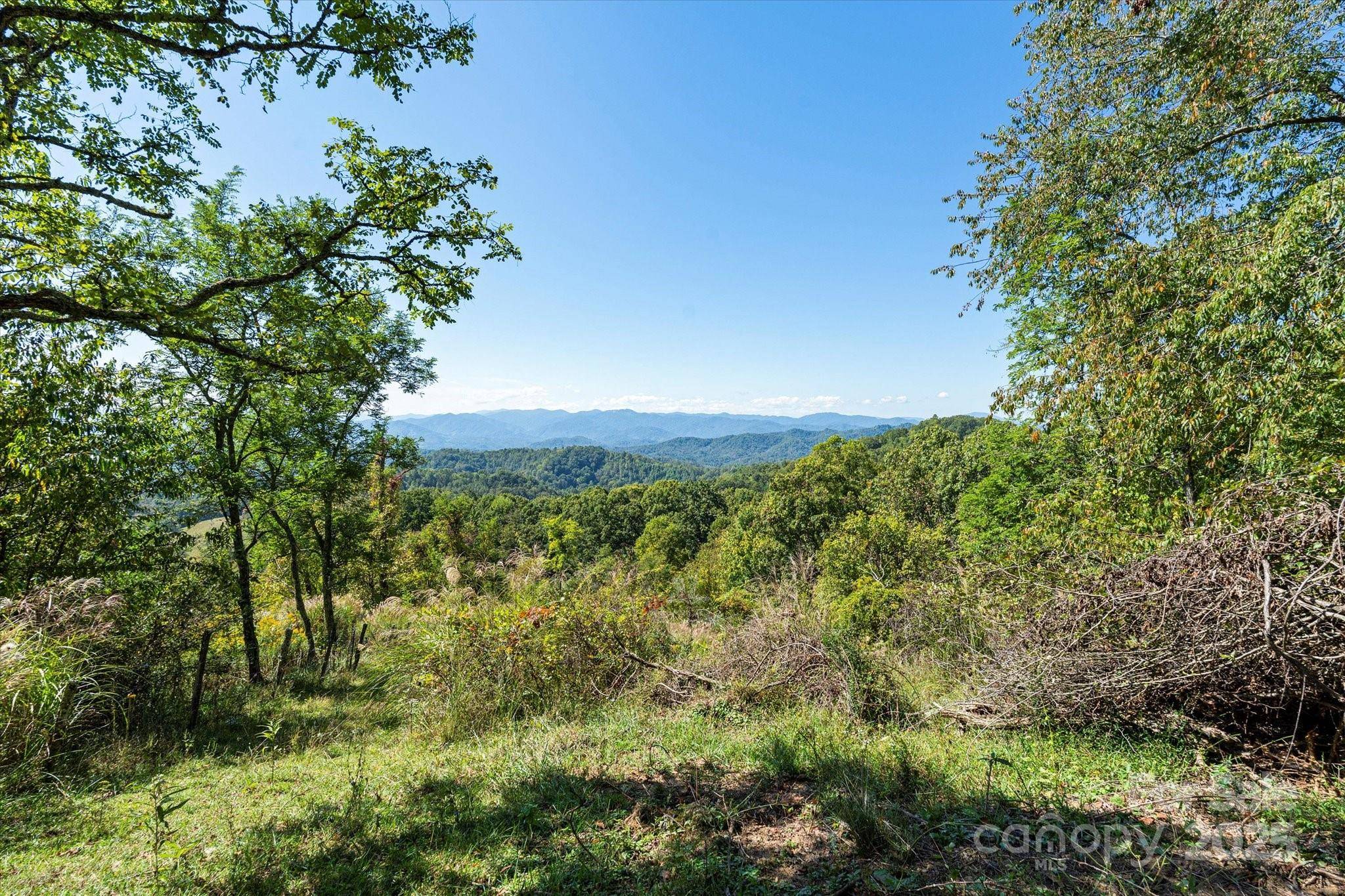 1623 Ammons Branch RD, Marshall, NC 28753