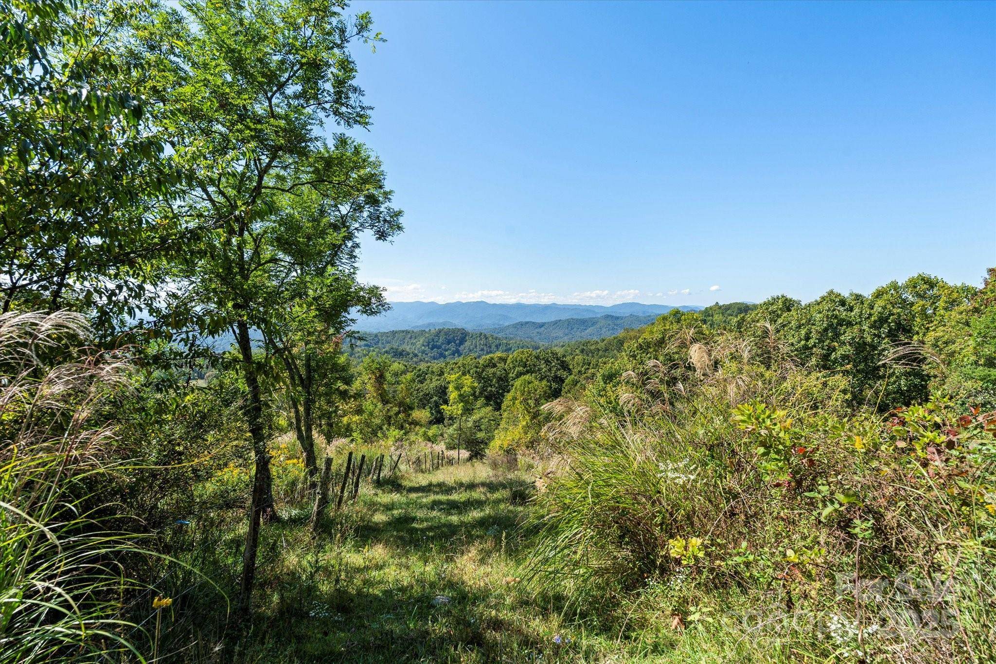 1623 Ammons Branch RD, Marshall, NC 28753