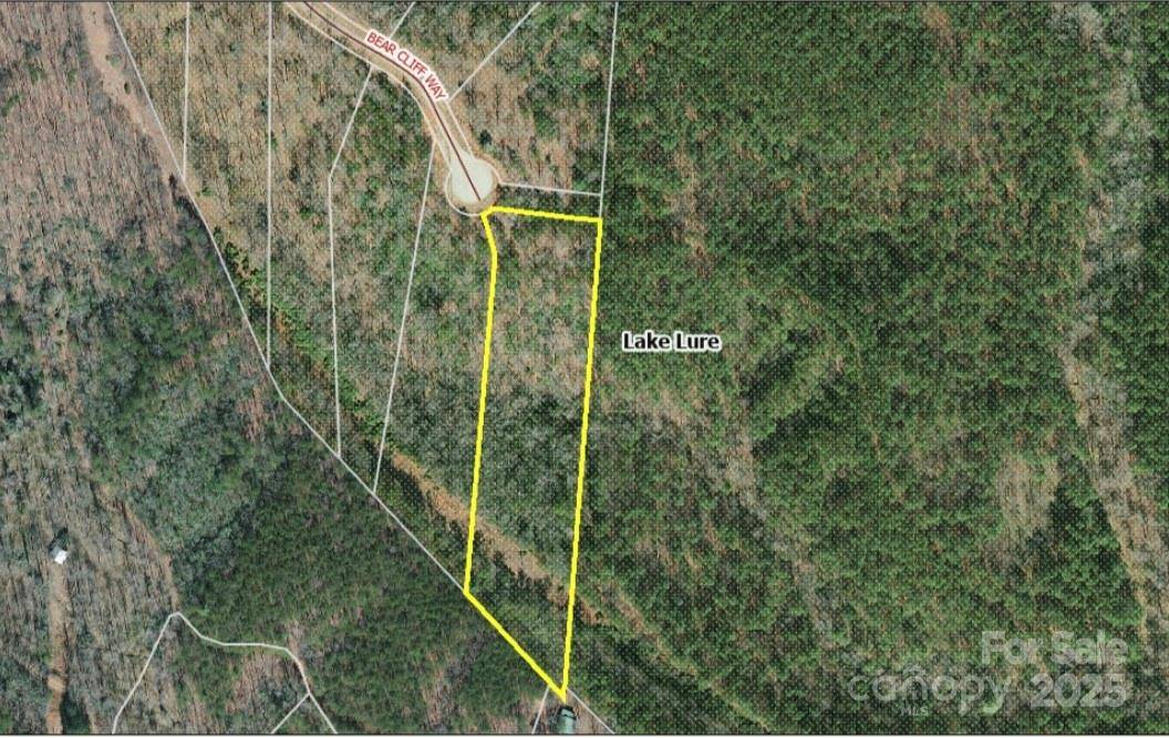 0 Bear Cliff WAY #60, Lake Lure, NC 28746