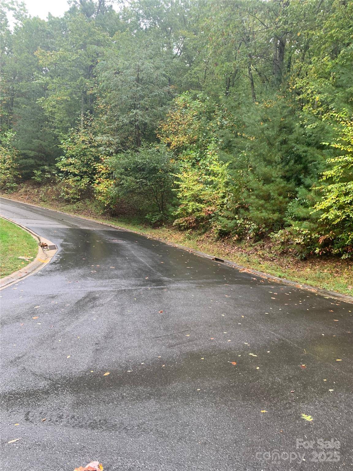 208 Settings BLVD #248, Black Mountain, NC 28711