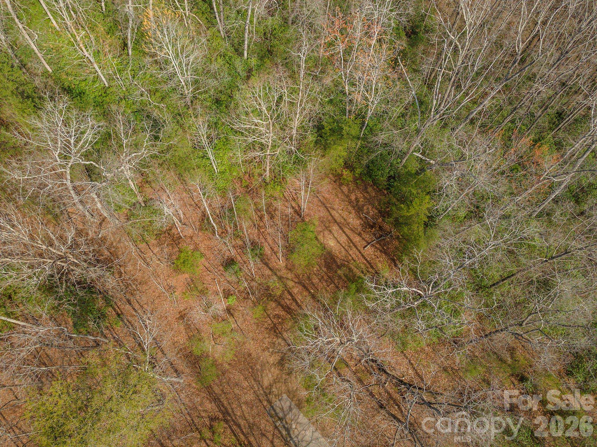 99999 Trillium LN #7, Lake Lure, NC 28746