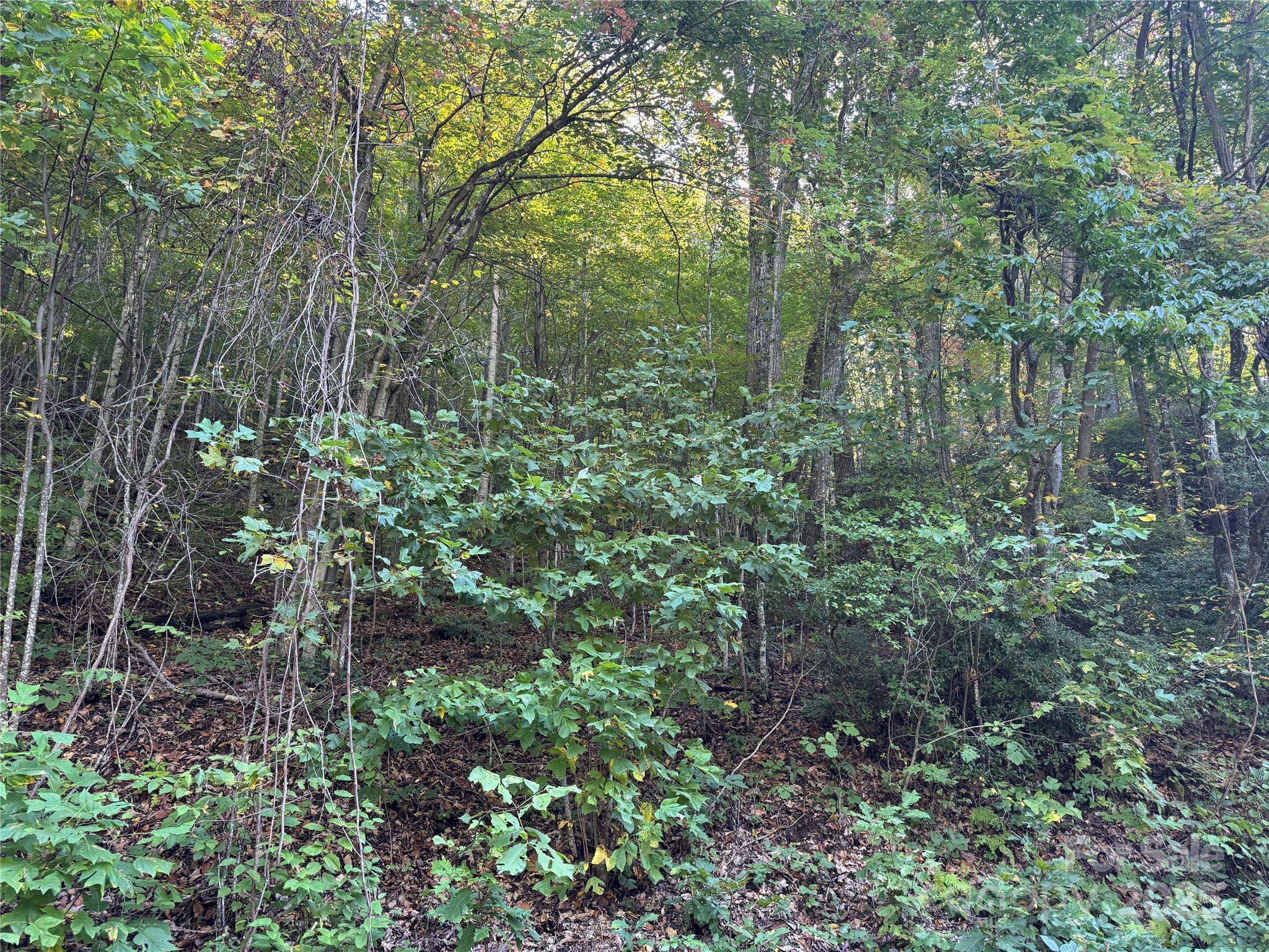 999 Red Oak Forest RD, Fairview, NC 28730