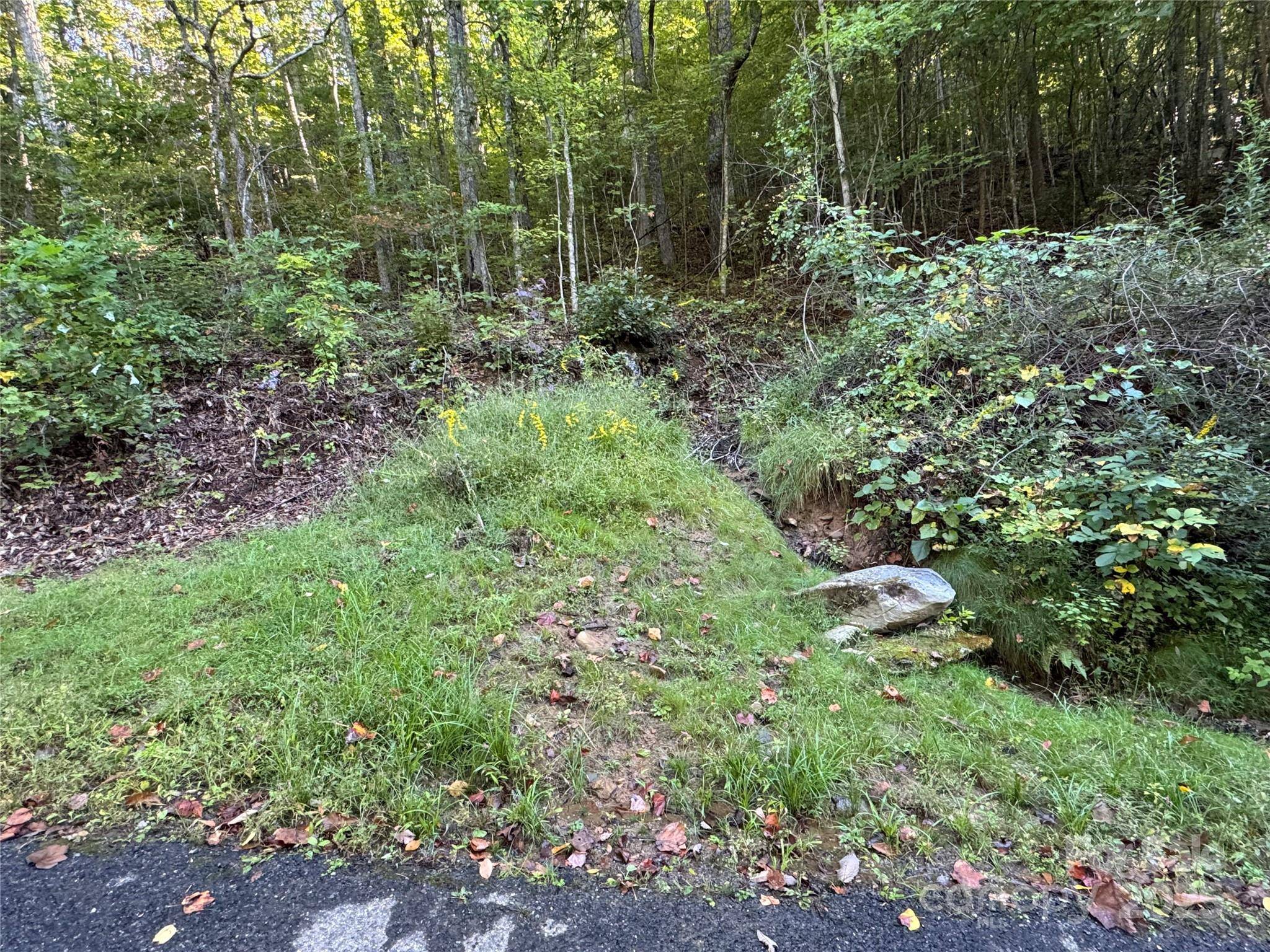 999 Red Oak Forest RD, Fairview, NC 28730