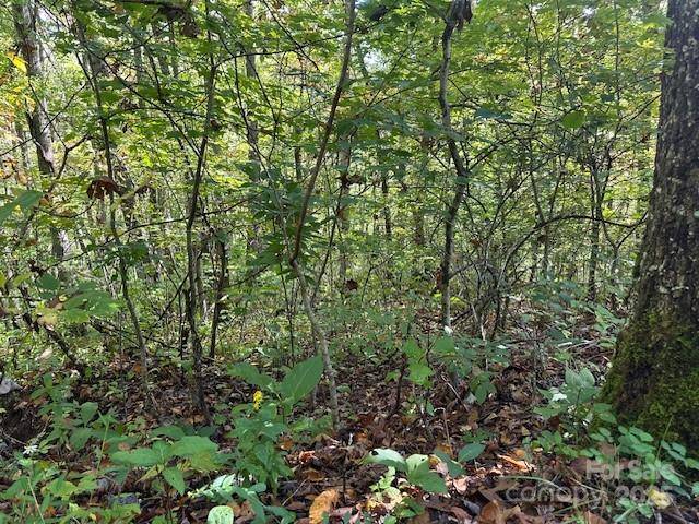 H16-H17 Shady Grove RD, Tuckasegee, NC 28783